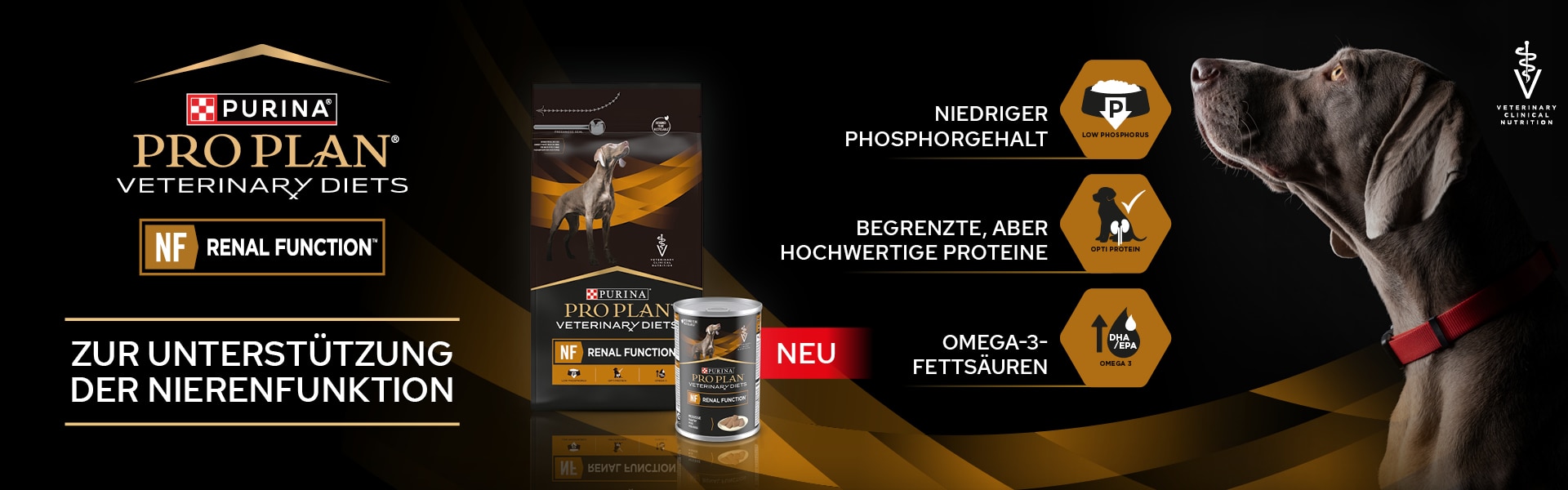 153_Formatanpassung_Banner_PPVD_Nf_Hund_DT1920x600 153_Formatanpassung_Banner_PPVD_Nf_Hund_DT1920x600