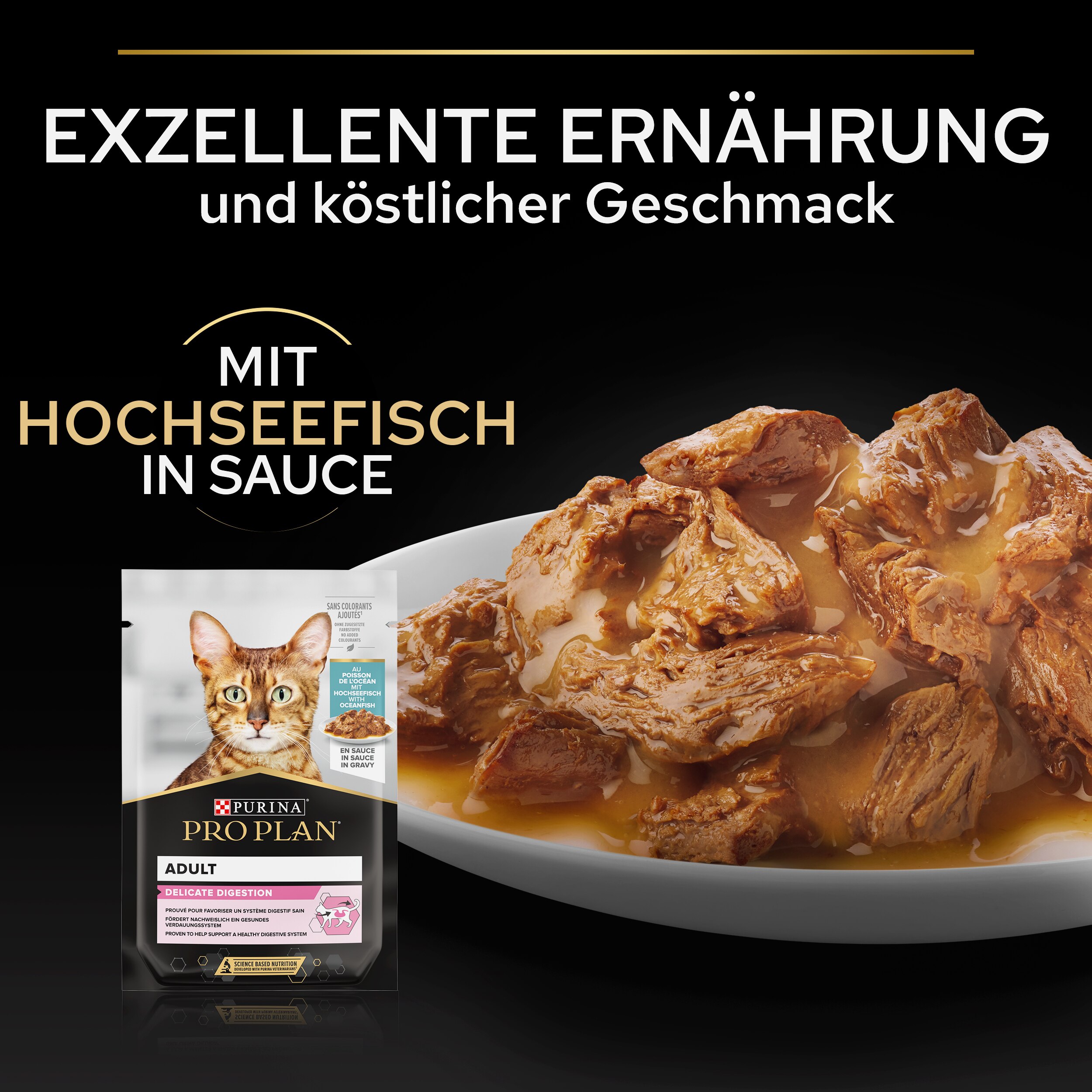 Werbung, Plakat, Mahlzeit, Mittagessen, Katze