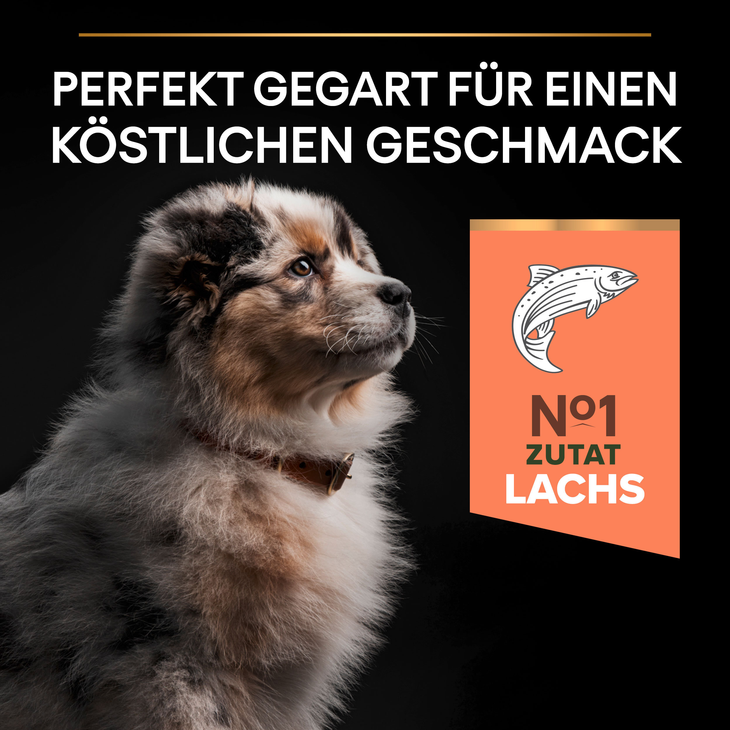 PU_Flavour Tile_M2_Sensitive Skin_Puppy Medium Salmon_DE_221205_1 Welpentrockenfutter mit Lachs für mittlere Hunderassen mit sensibler Haut