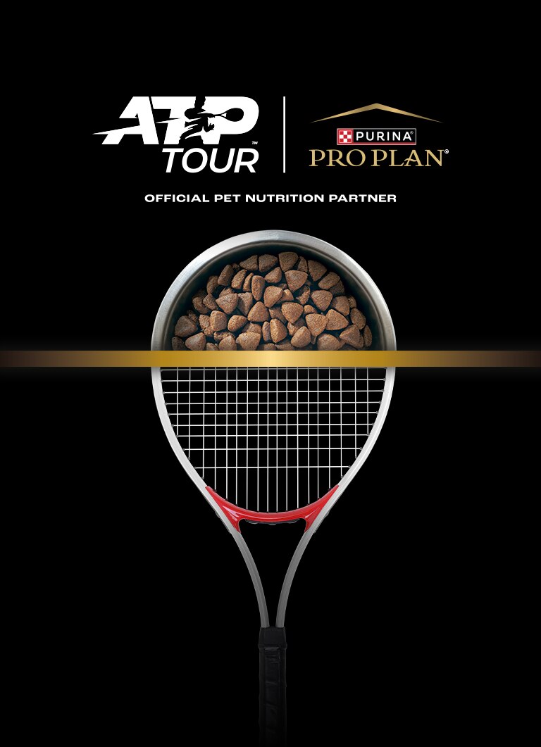 tennis ball?, padel ball, dog food?, not relevant