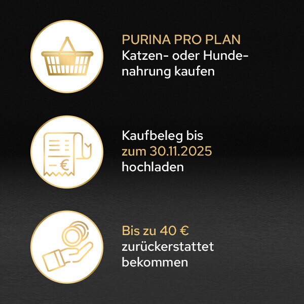 So funktionierts