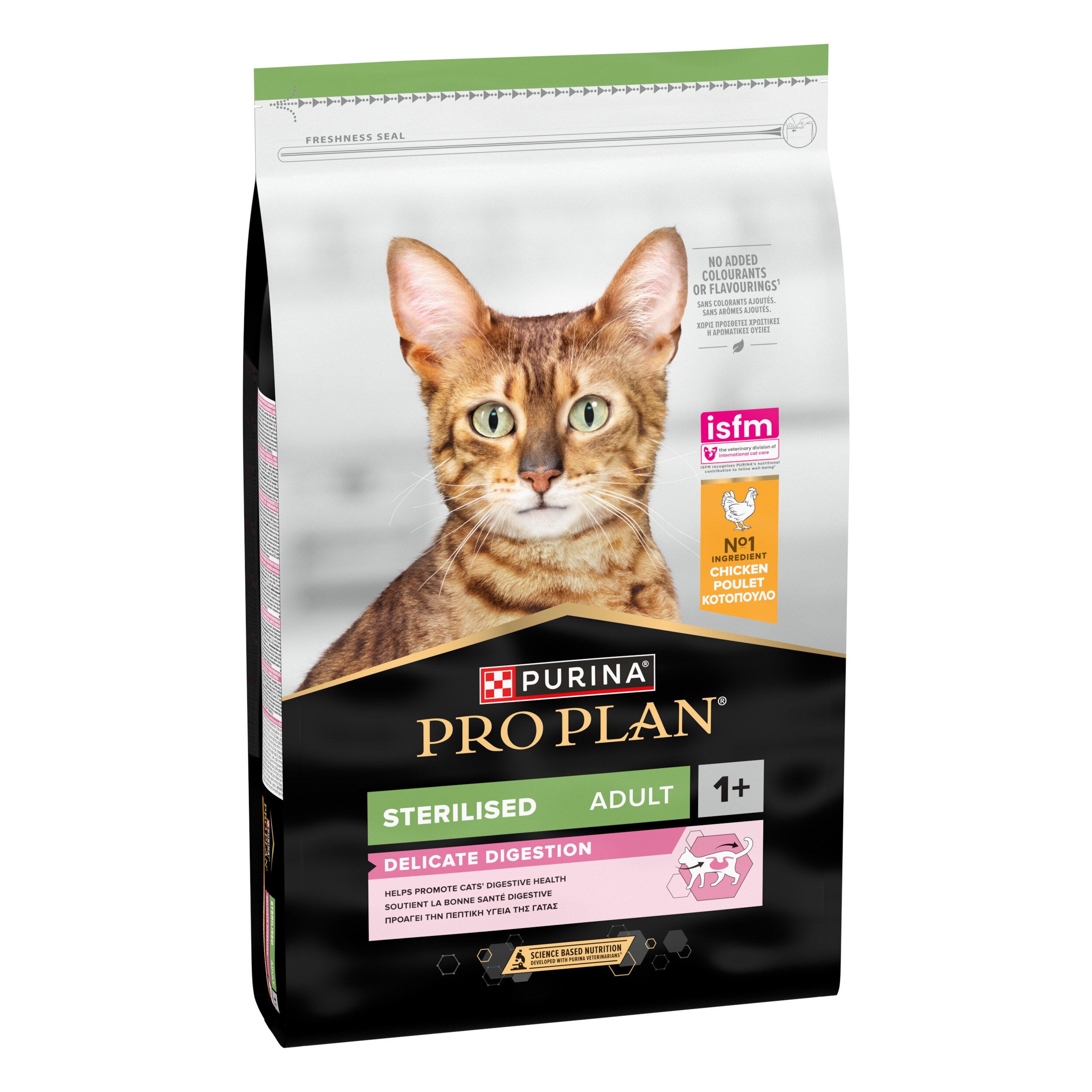 Abessinisch, Katze, Säugetier, Haustier, Werbung