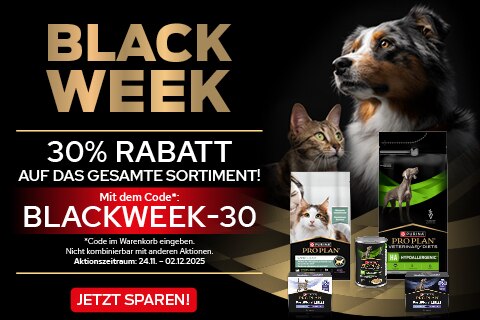 Werbung, Plakat, Hund, Haustier, Katze