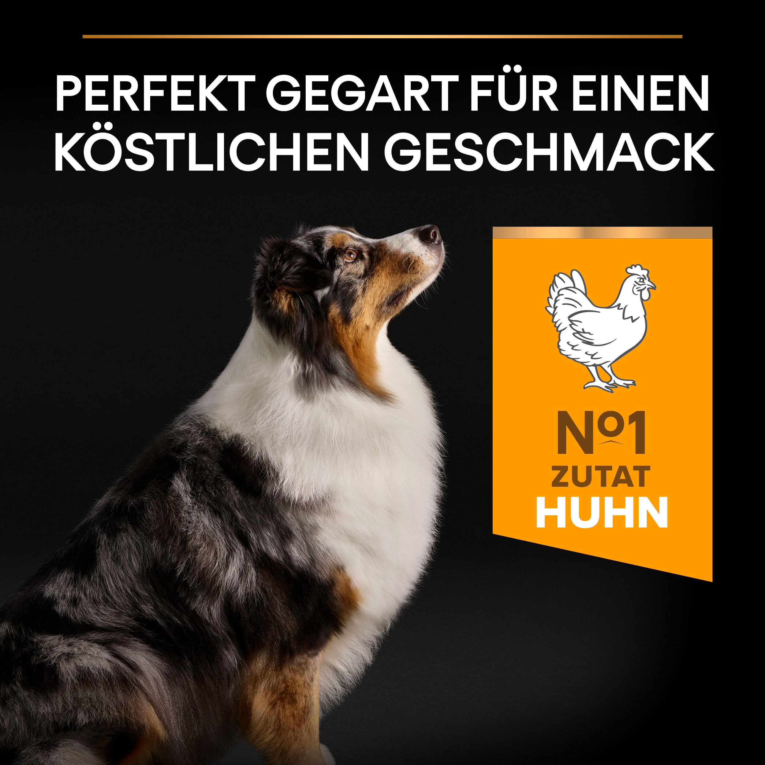 PU_Flavour Tile_M2_Age Defence_Adult-7+ MediumLarge Chicken_DE_221205_1 Medium & Large Age Defence - mit Huhn