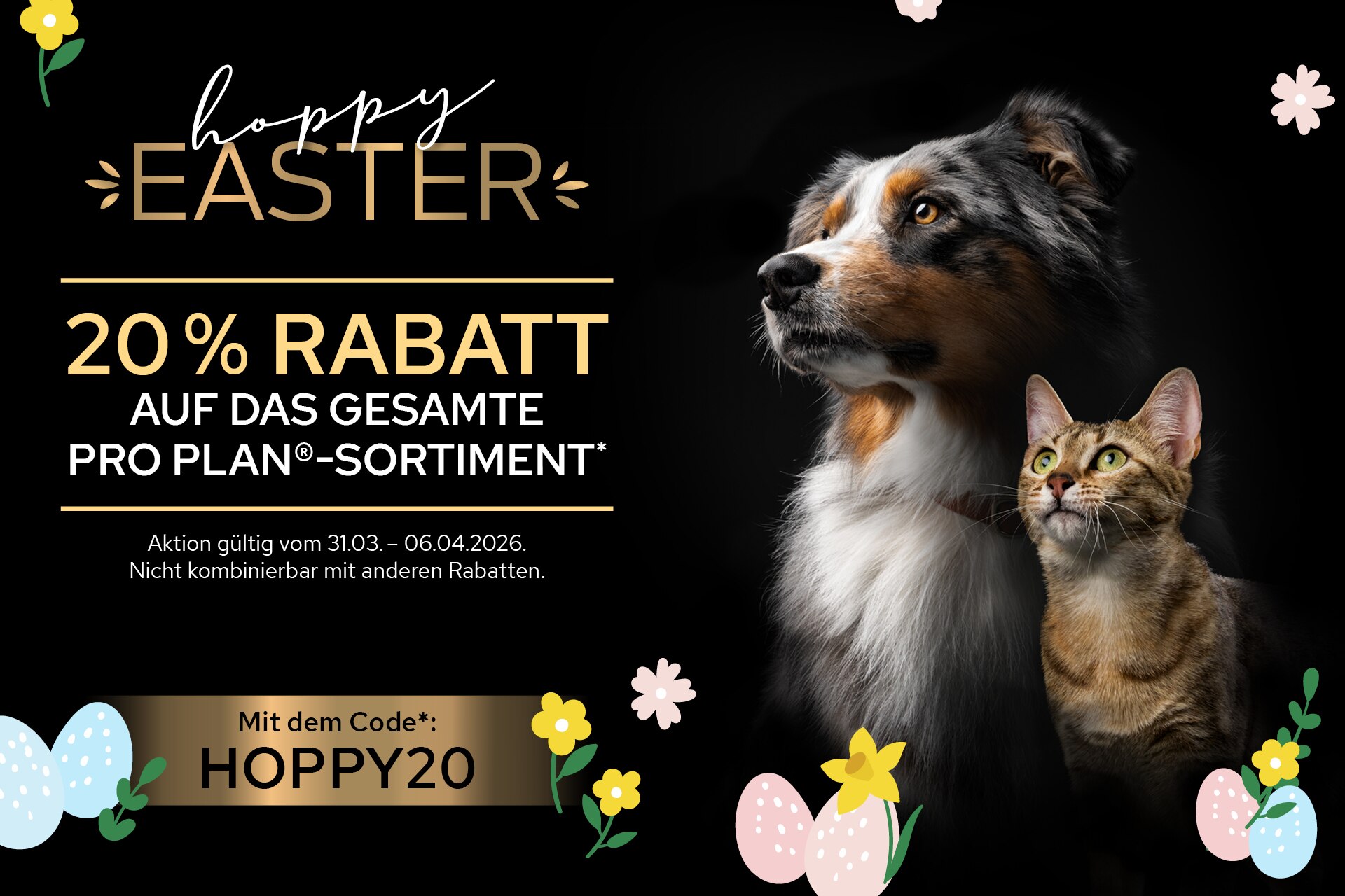 Hund, Katze, Osterdekoration, Schwarz, Hochformat