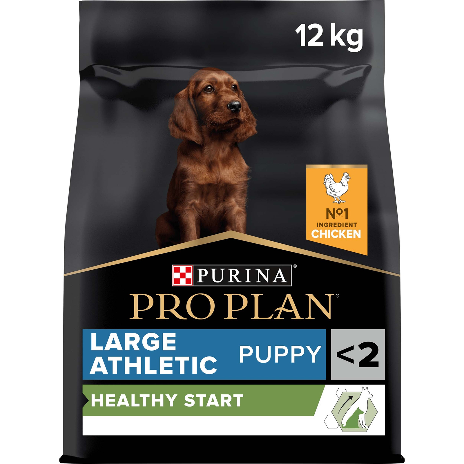 Large Athletic Puppy Healthy Start 12kg, reich an Huhn