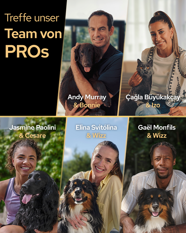 team, pros, people, pets, collage, team, professionals, pets, collage, portrait