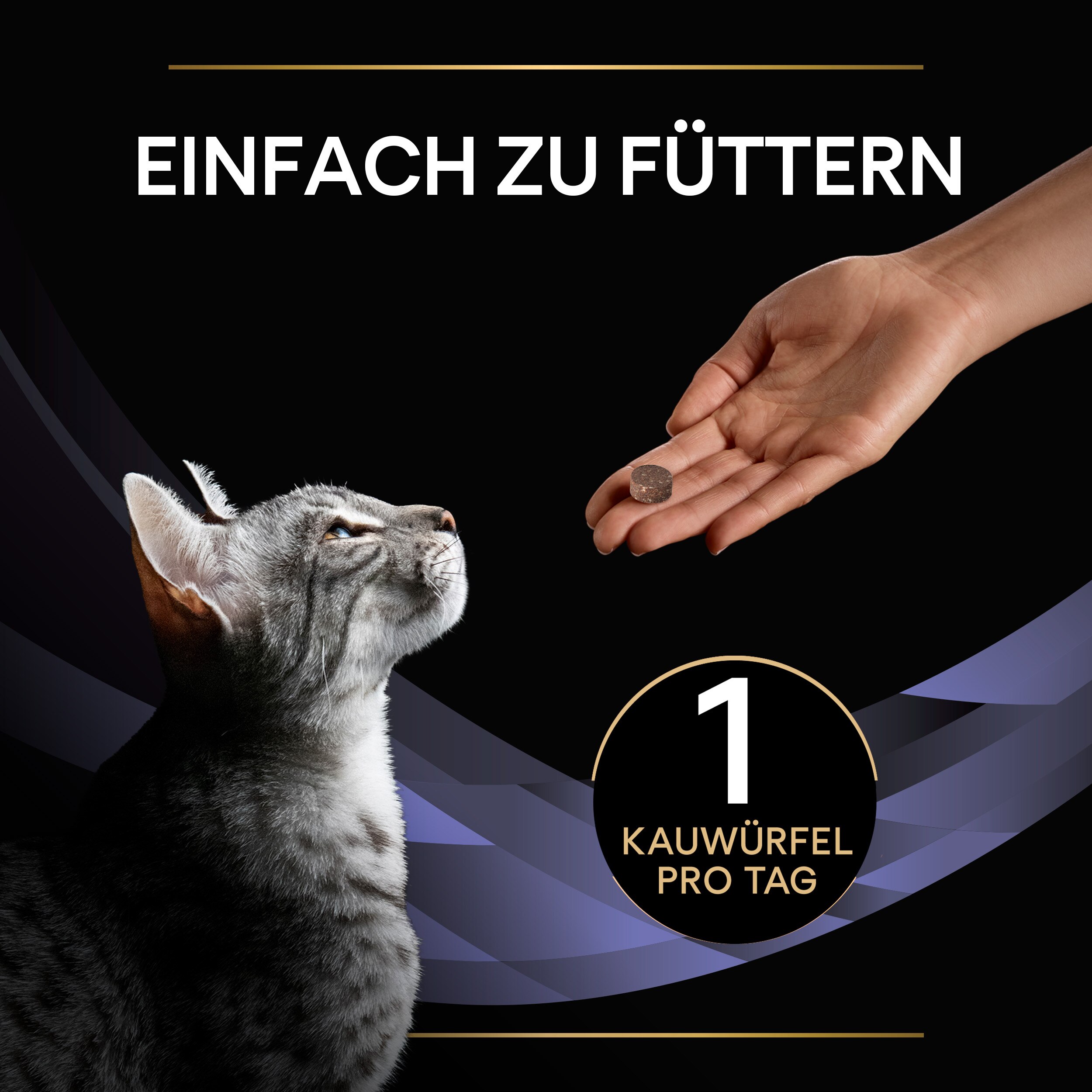 Fütterungsempfehlung