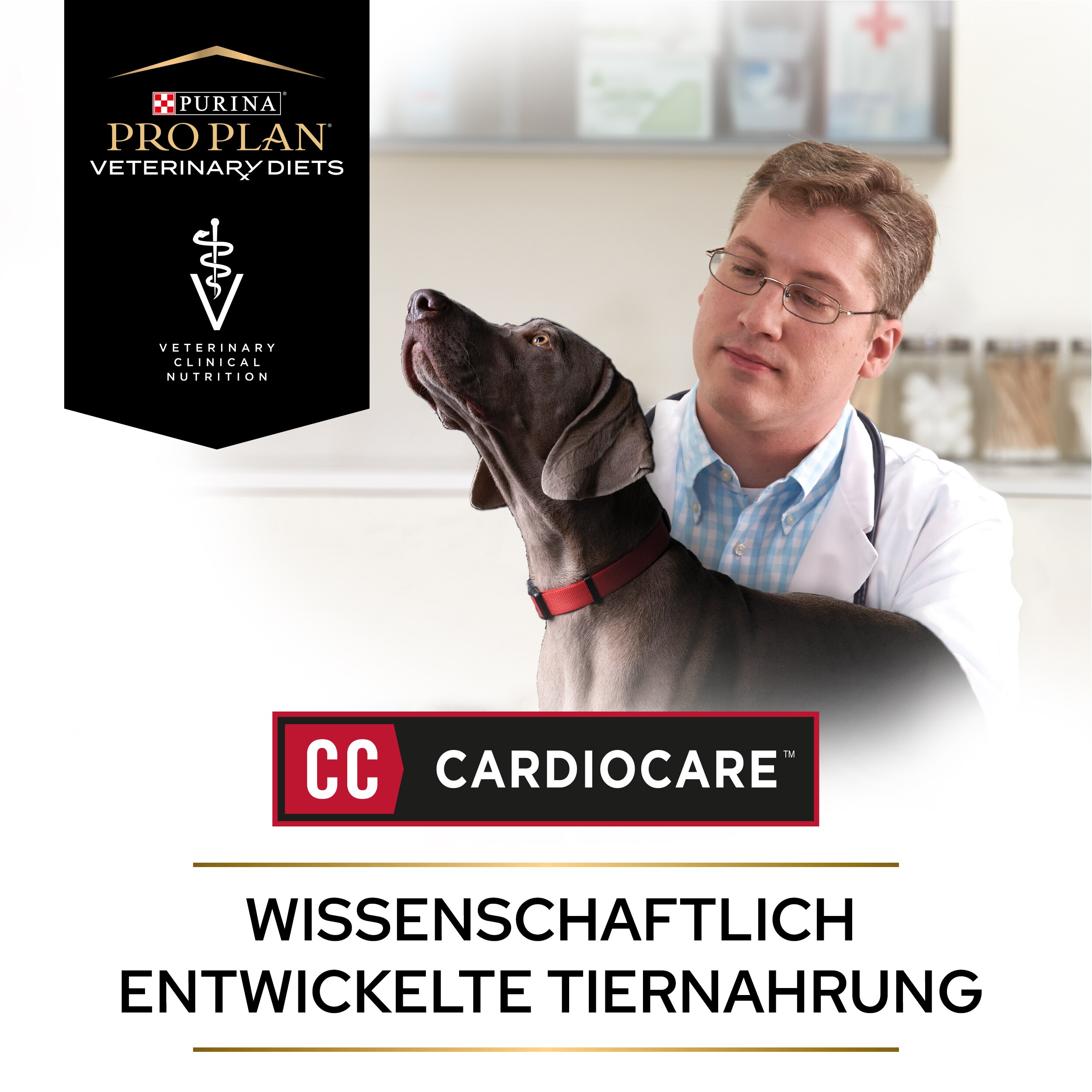 PUPPVDDDPPVCC22Endo1LDE_1665110999964 Cardiocare Wissenschaftlich entwickelte Tiernahrung