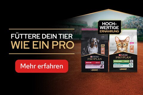 hundefutter, katzenfutter, tierernährung, pro plan, mittelgroßes erwachsene