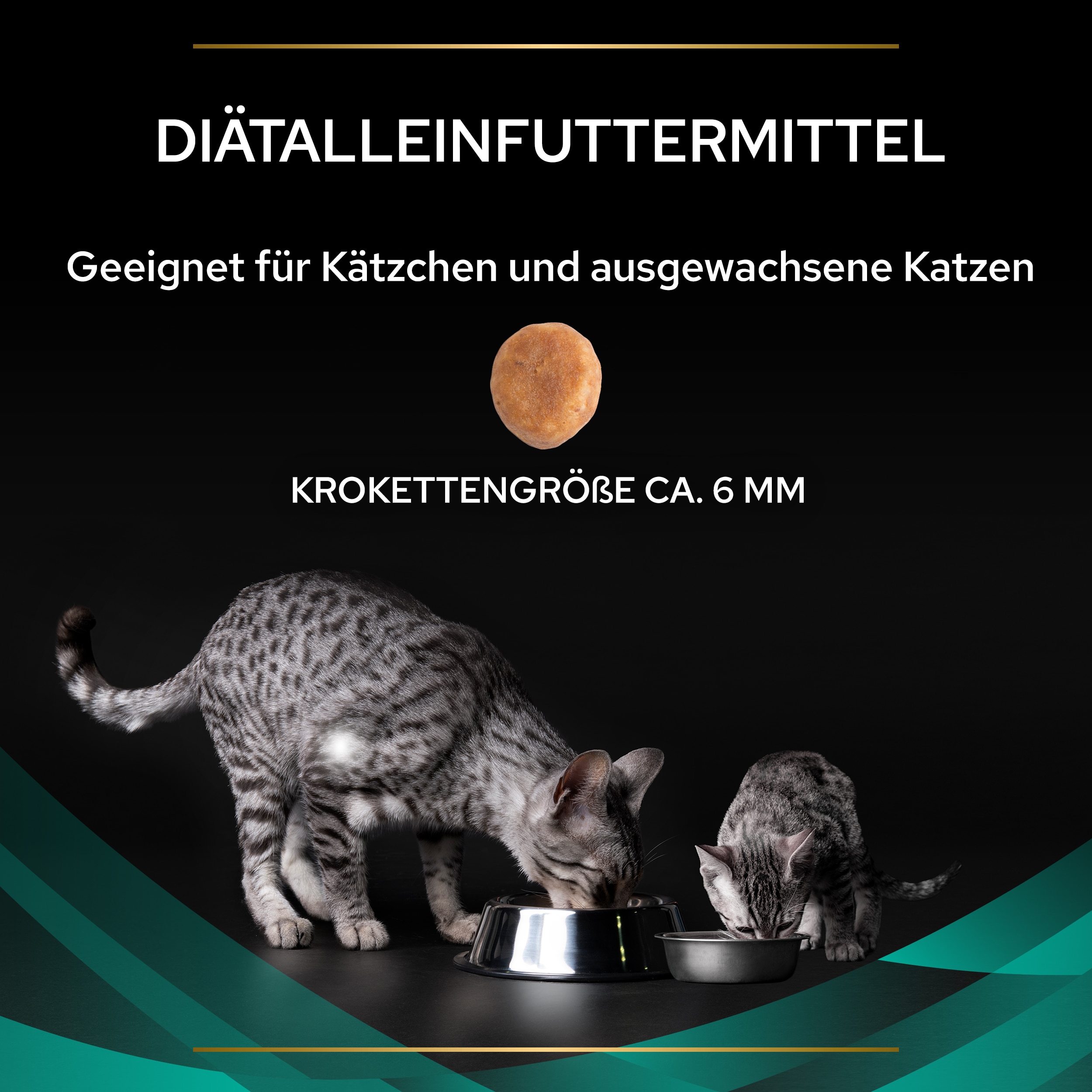 PUPPVDDCPPVEN22Ksiz1LES_1665121901709 EN Gastrointestinal Katze - Krokettengröße ca. 6mm