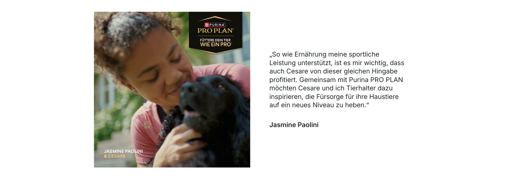 Hund, Tier, Frau, Draußen, Umarmung