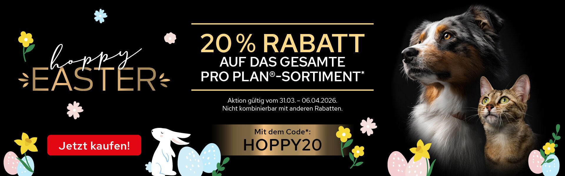 easter banner, promotion, hoppy easter, easter eggs, rabbit illustration