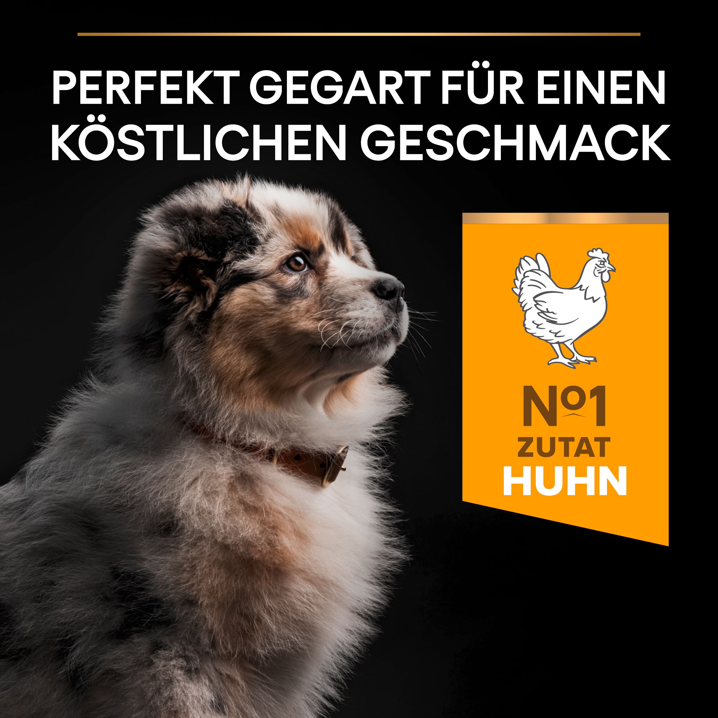 PU_Flavour Tile_M2_Healthy Start_Puppy Medium Chicken_DE_221205_1