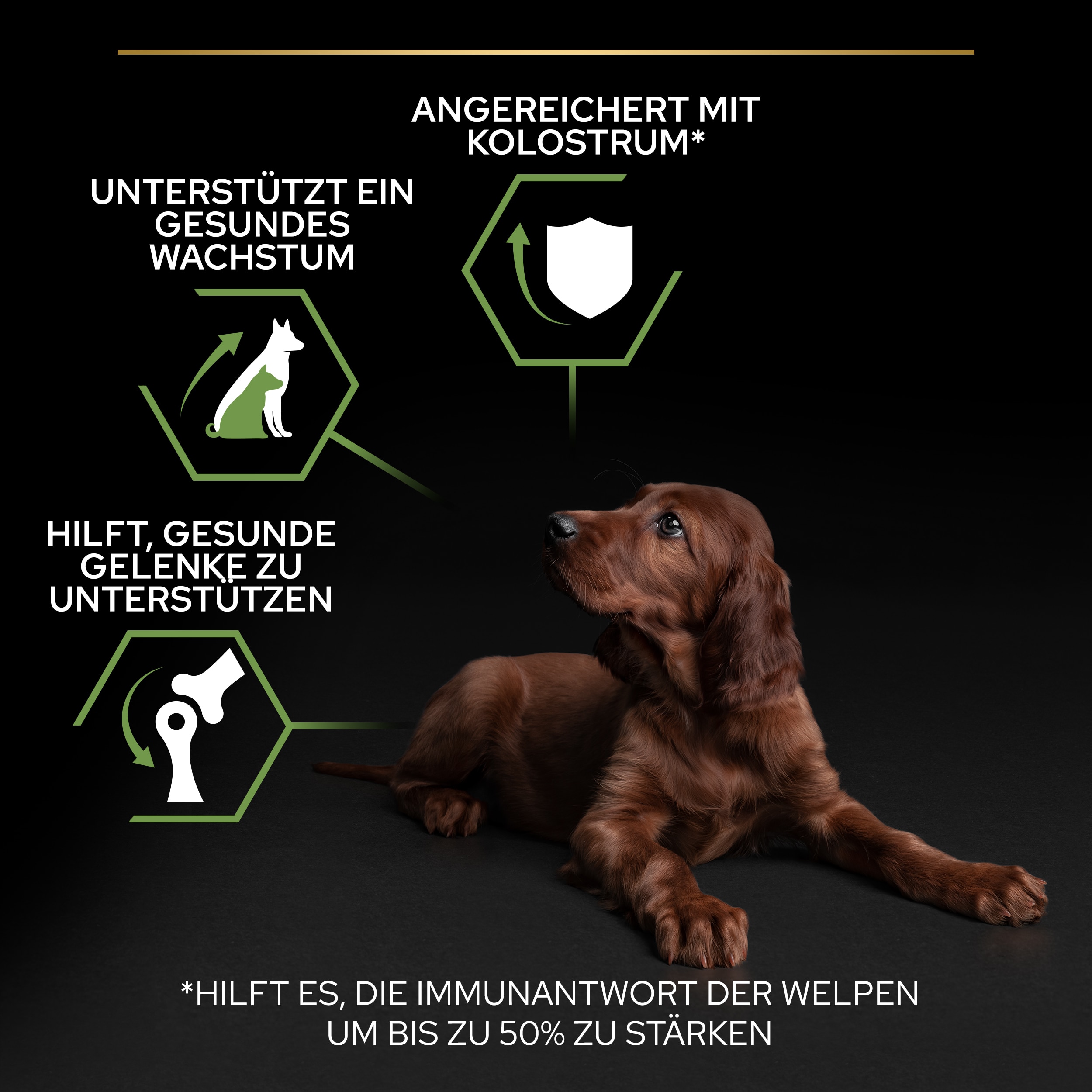 PU_Healthy Start_M2_Puppy Large Athletic Chicken_DE_20221201_01 Vorteile von Large Athletic Healthy Start Welpentrockenfutter