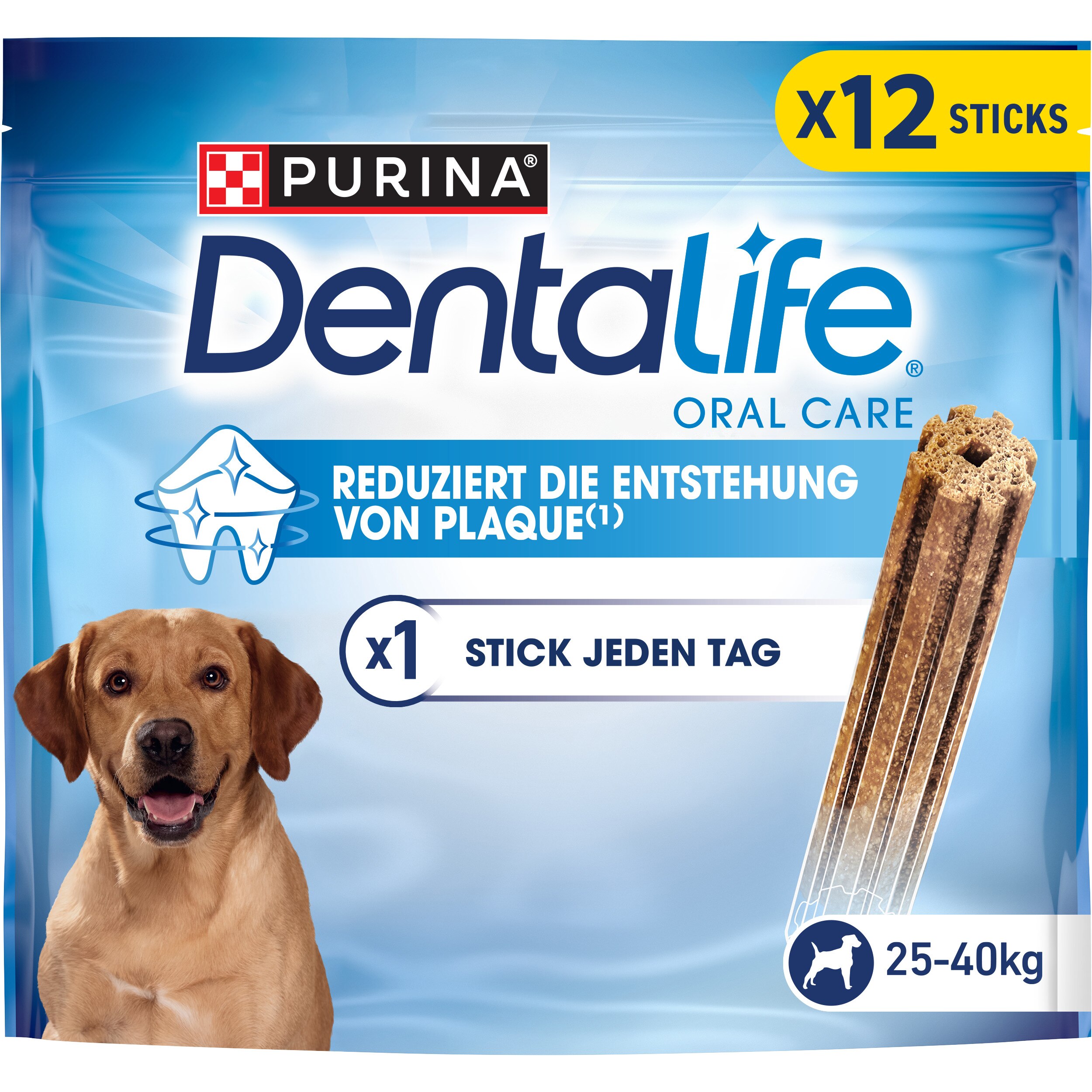 Tier, Hund, Säugetier, Haustier
