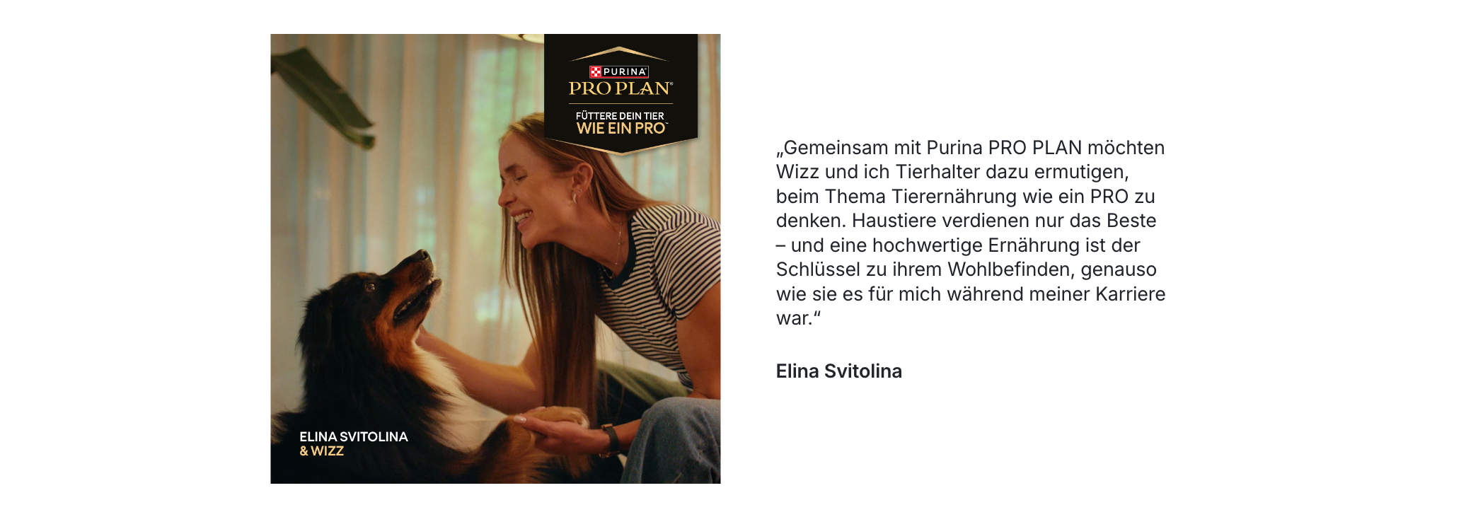 Hund, Hund mit Frau, Tierpflege, Hundetraining, Therapiebegleiter