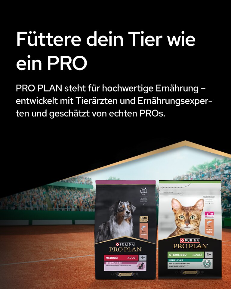 ATP-Smash-hero-mobile-1