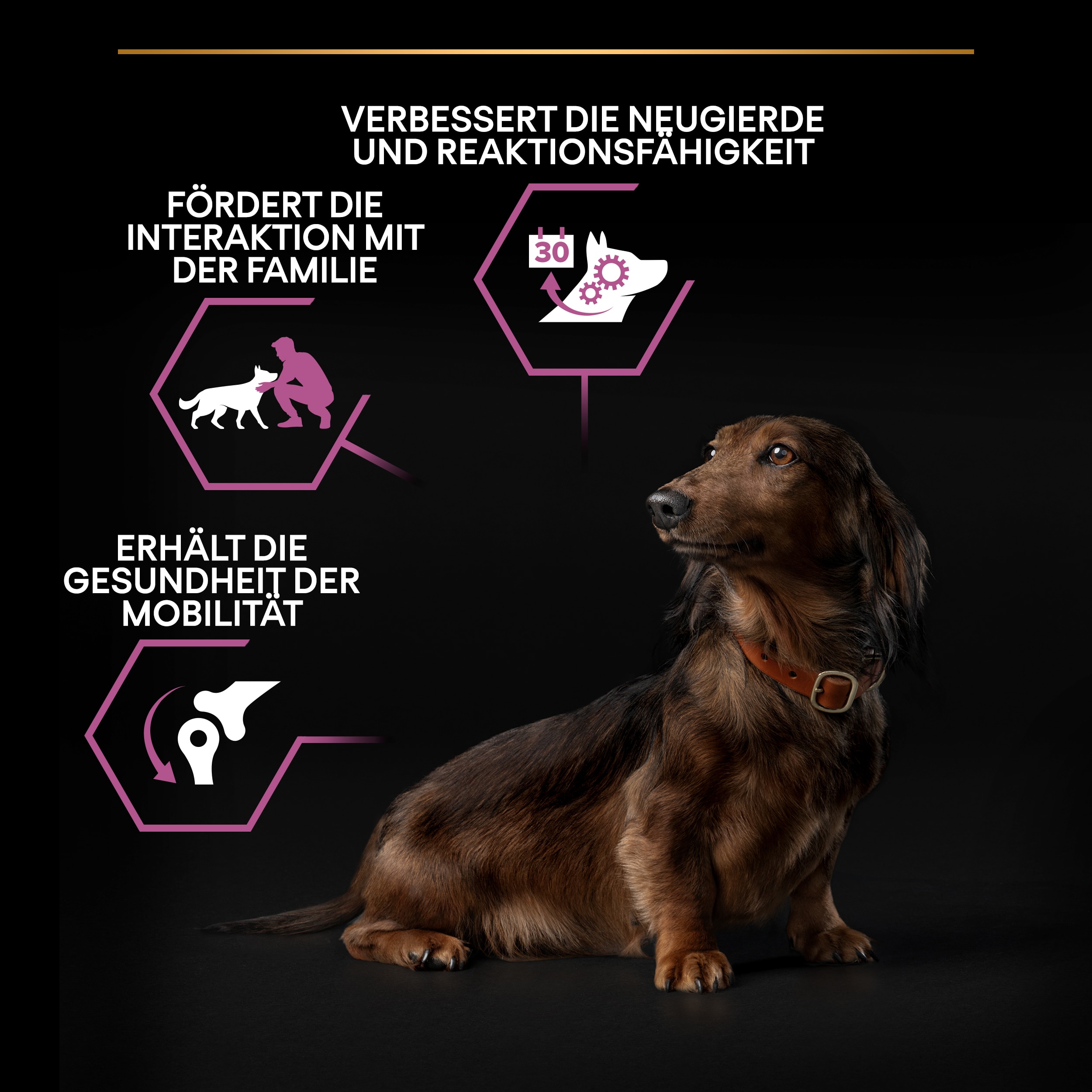 Age Defence 9+, Trockenfutter für sehr kleine&kleine Hunde ab 9 Jahren, reich an Huhn 3kg Vorteile von Age Defence Trockenfutter