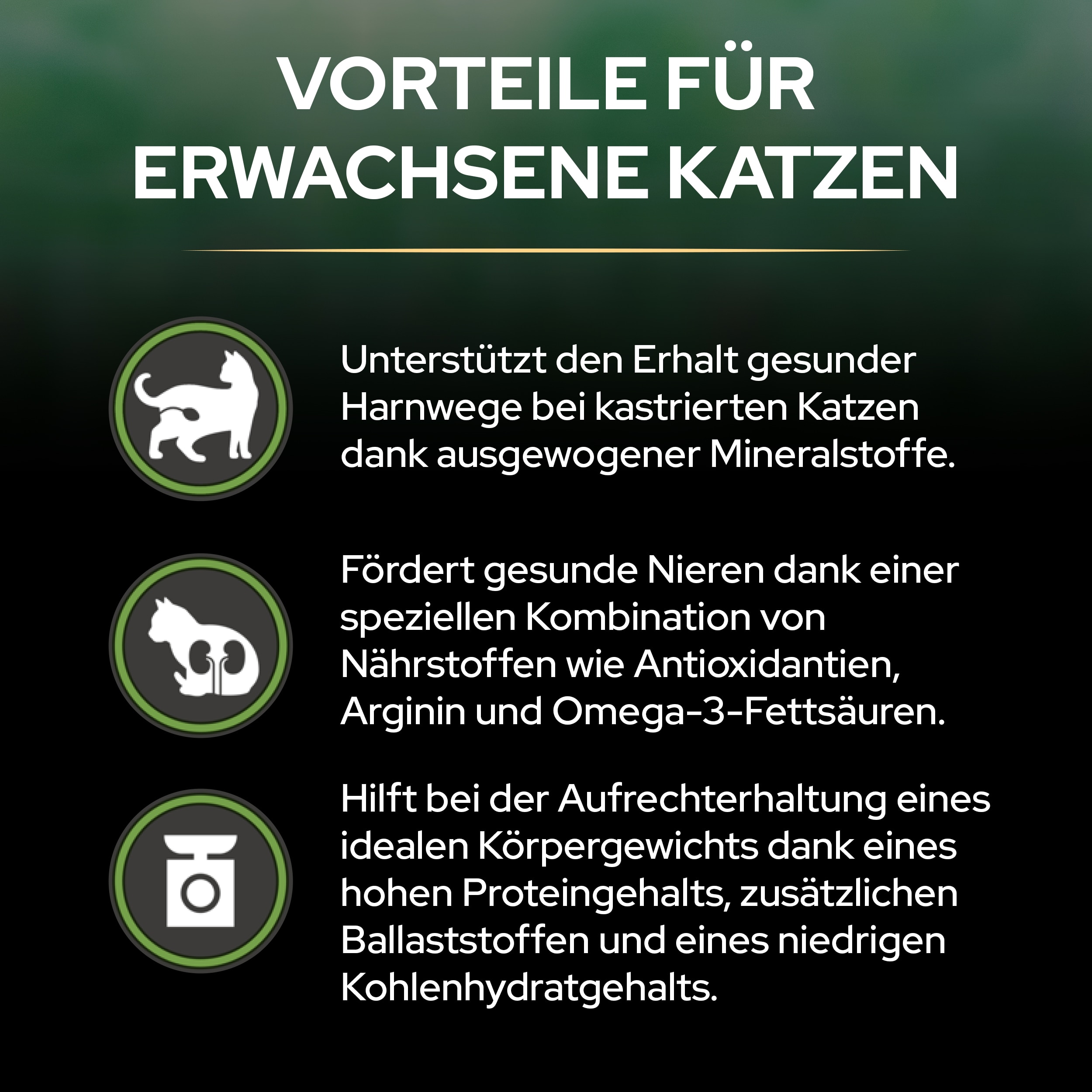 DE_PURINA_PROPLAN_0225_LIVECLEAR_eContent_Adult_Benefits_2500x2500 Vorteile für erwachsene Katzen von Liveclear Sterilised Adult