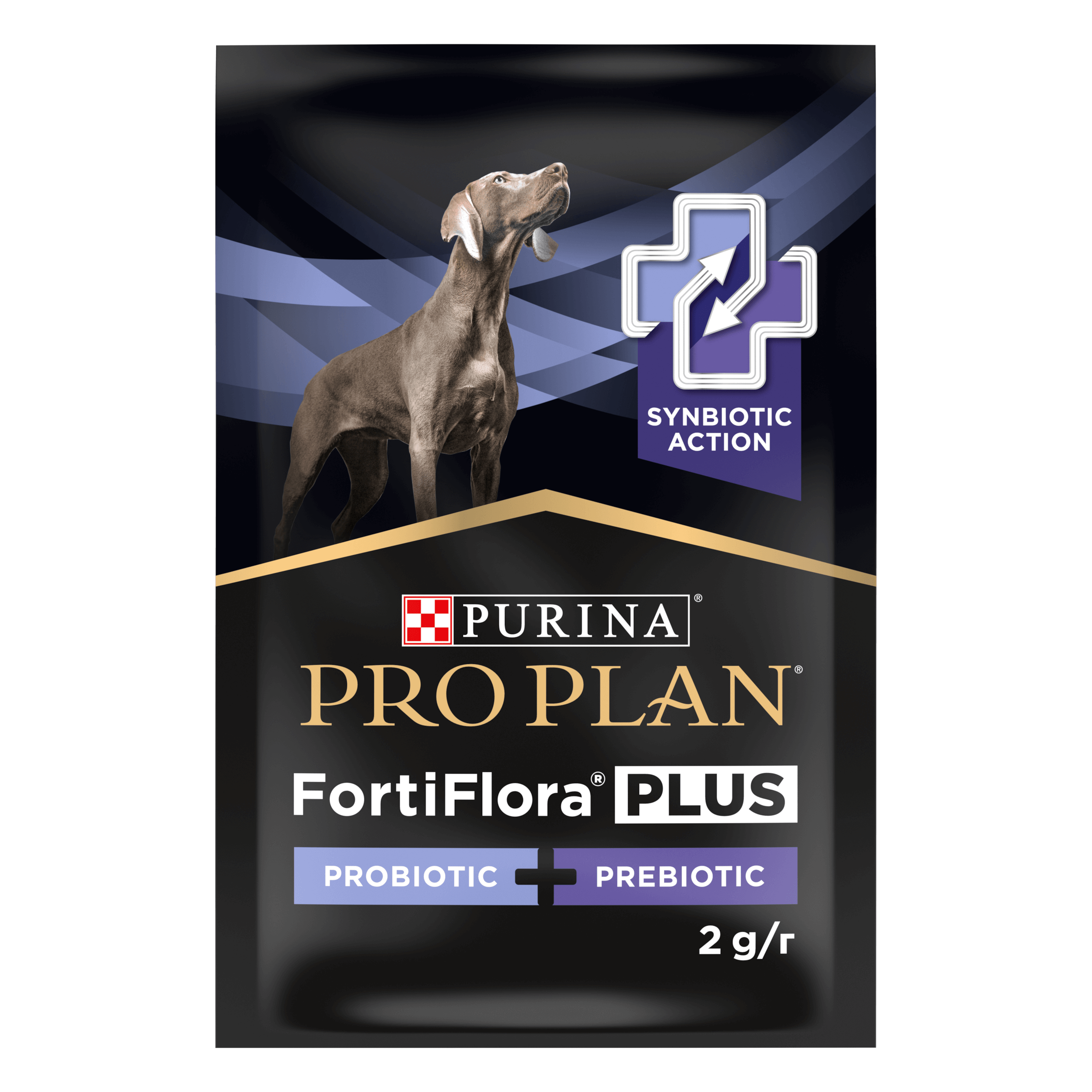 FortiFlora Plus Hund, Ergänzungsfuttermittel für ausgewachsene Hunde und Welpen, 30x 2g Werbung, Plakat, Hund, Säugetier, Haustier, Werbung, Plakat, Hund, Säugetier, Haustier