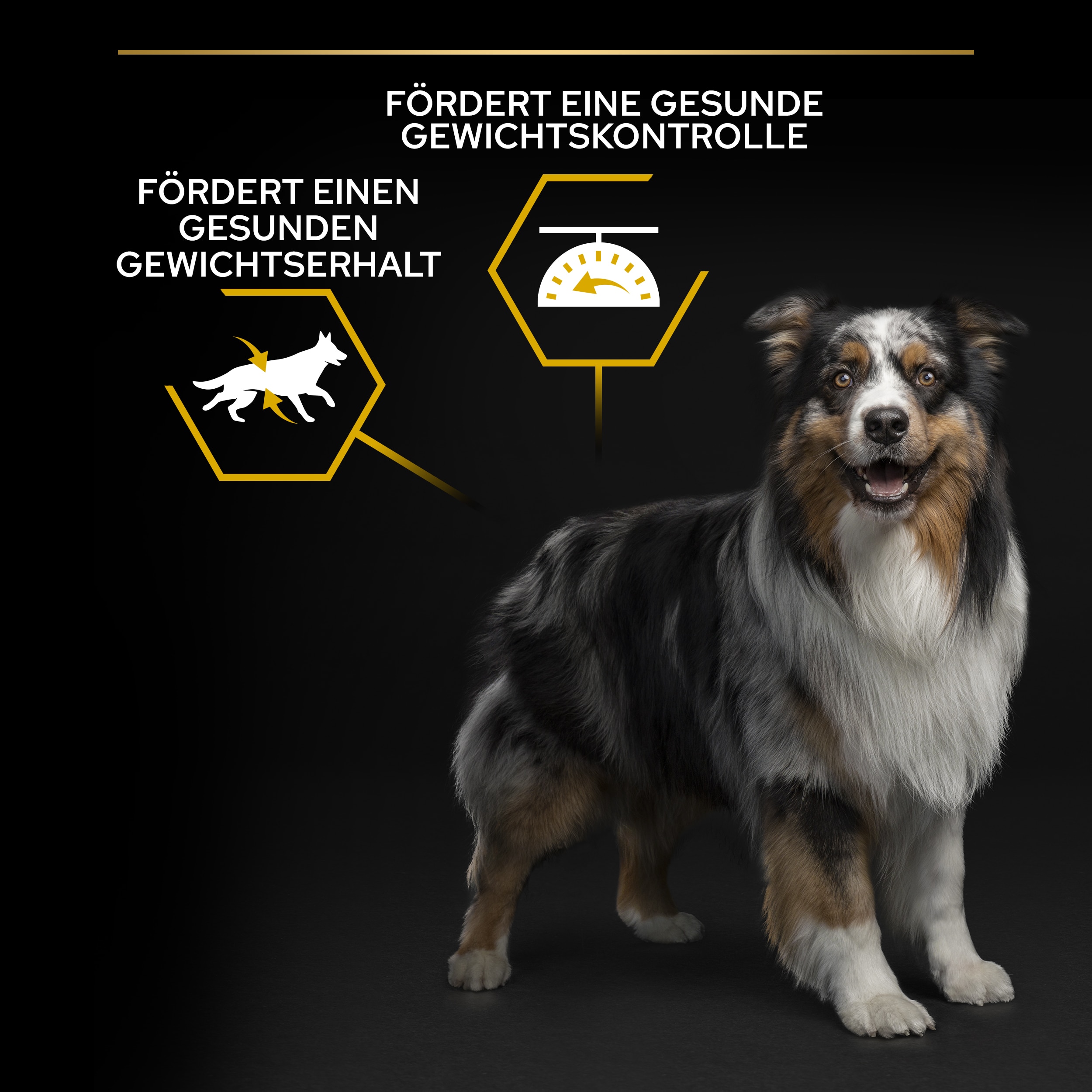 Allsize Adult Light/Sterilised, Trockenfutter für Hunde aller Größen, reich an Huhn, 14kg Allsize Adult light/sterilised Trockenfutter Vorteile