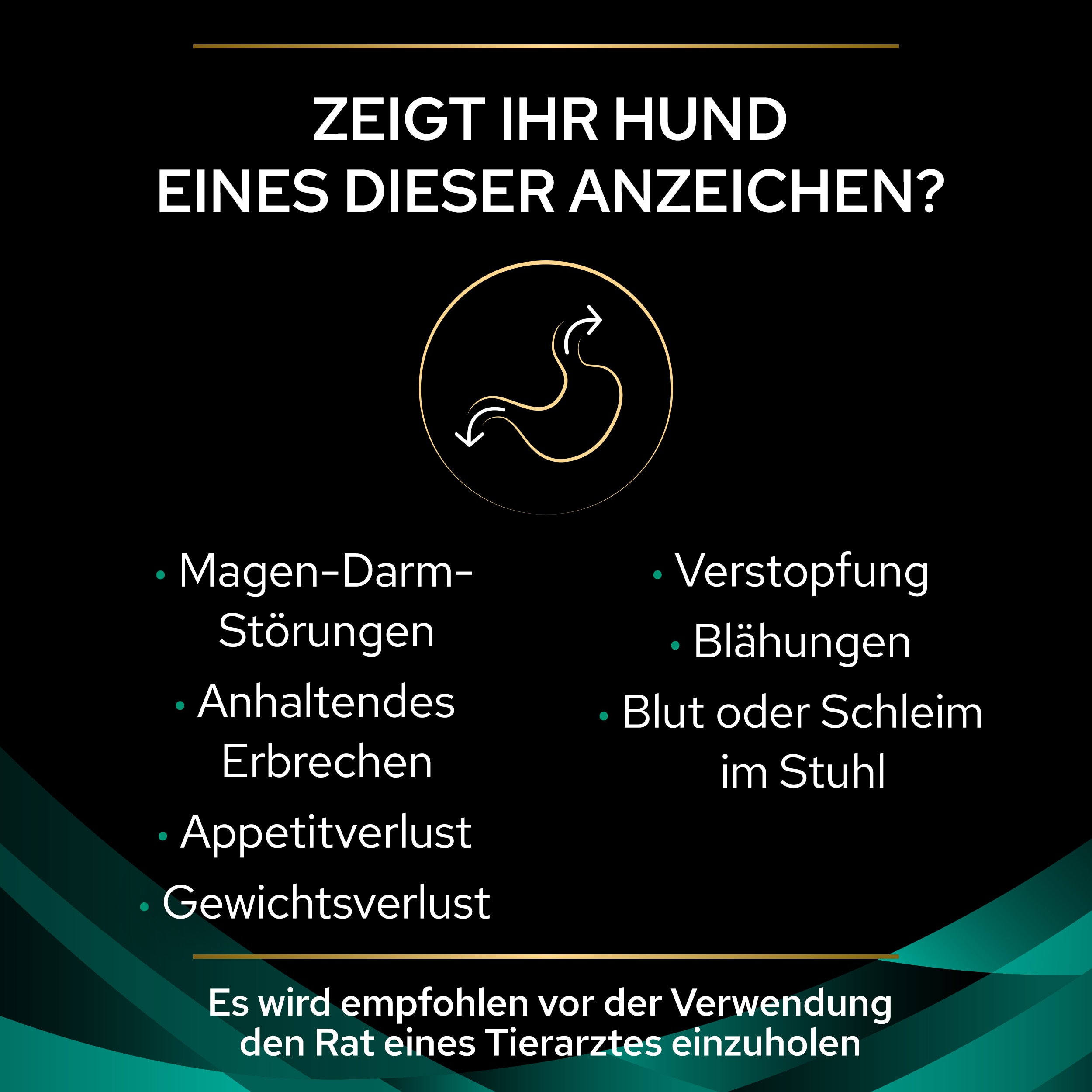 PUPPVDDDPPVEN22D1LDE_1665112290355 Anzeichen für Magen-Darm-Probleme