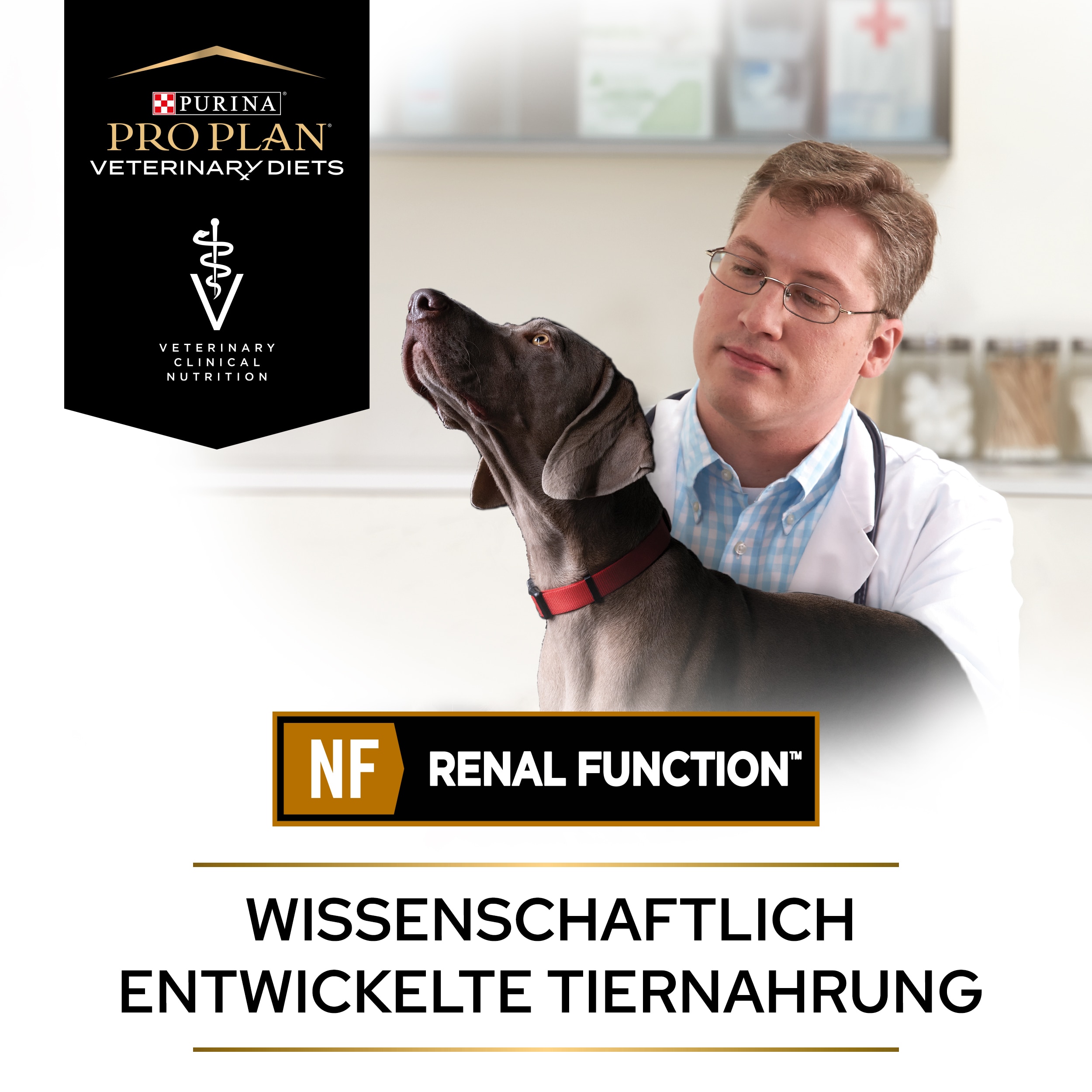 PUPPVDDDPPVNF22Endo1LDE_1665110999964 NF Renal Function - wissenschaftlich entwickelte Tiernahrung