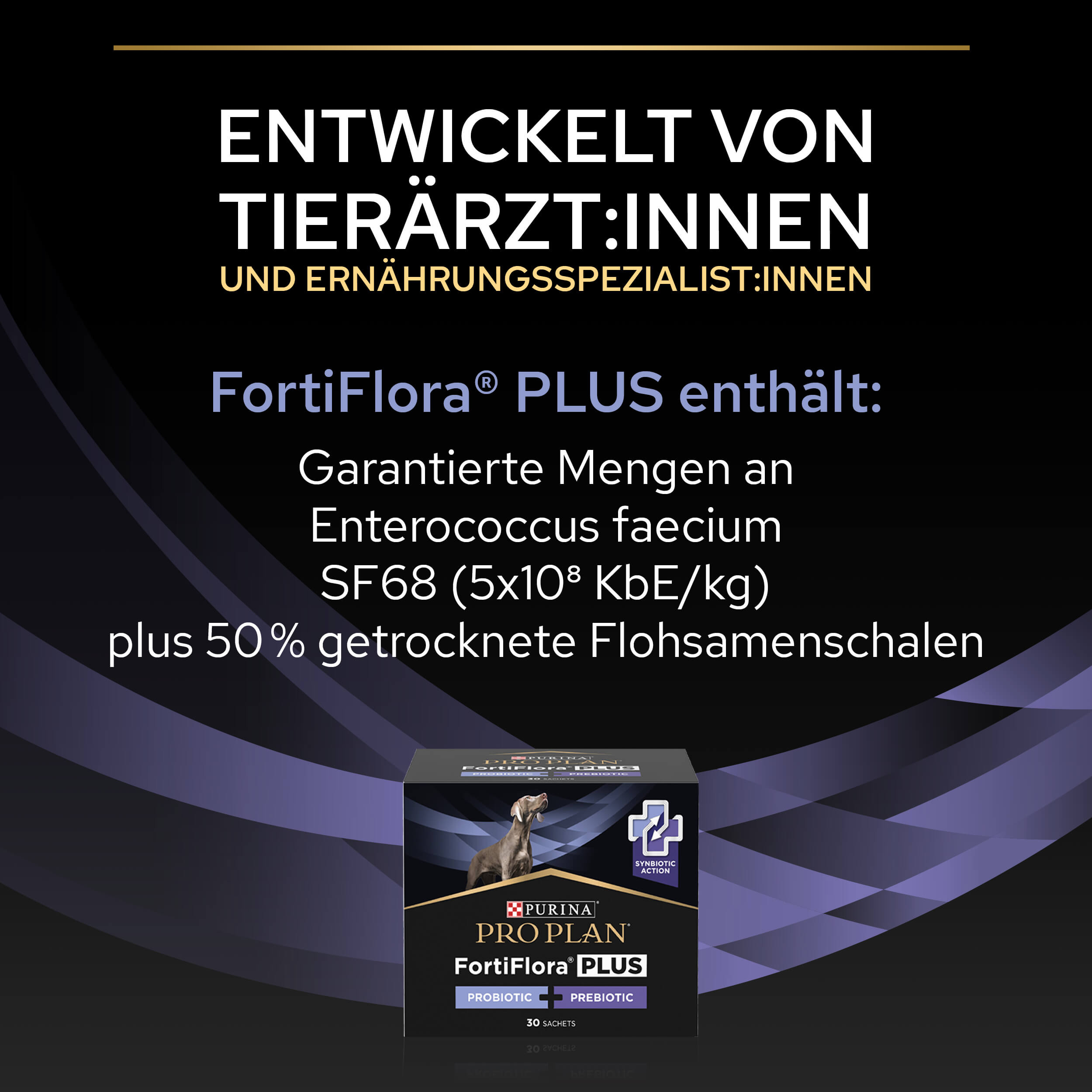 06_FF Plus eContent Werbung, Plakat, Werbung, Plakat