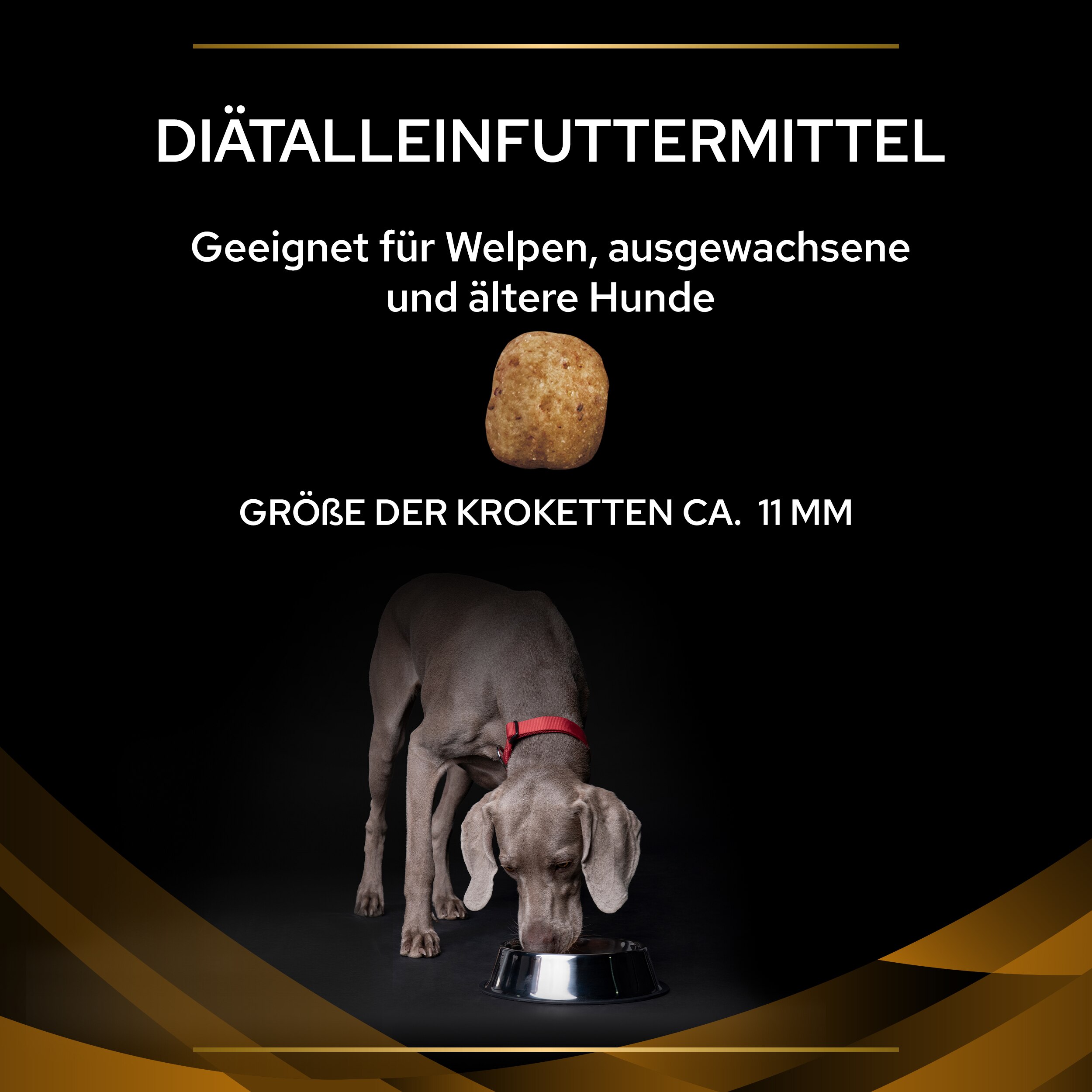 PUPPVDDDPPVNF22Ksiz1LES_1665127468906 NF Renal Function - Größe der Krokette ca. 11mm