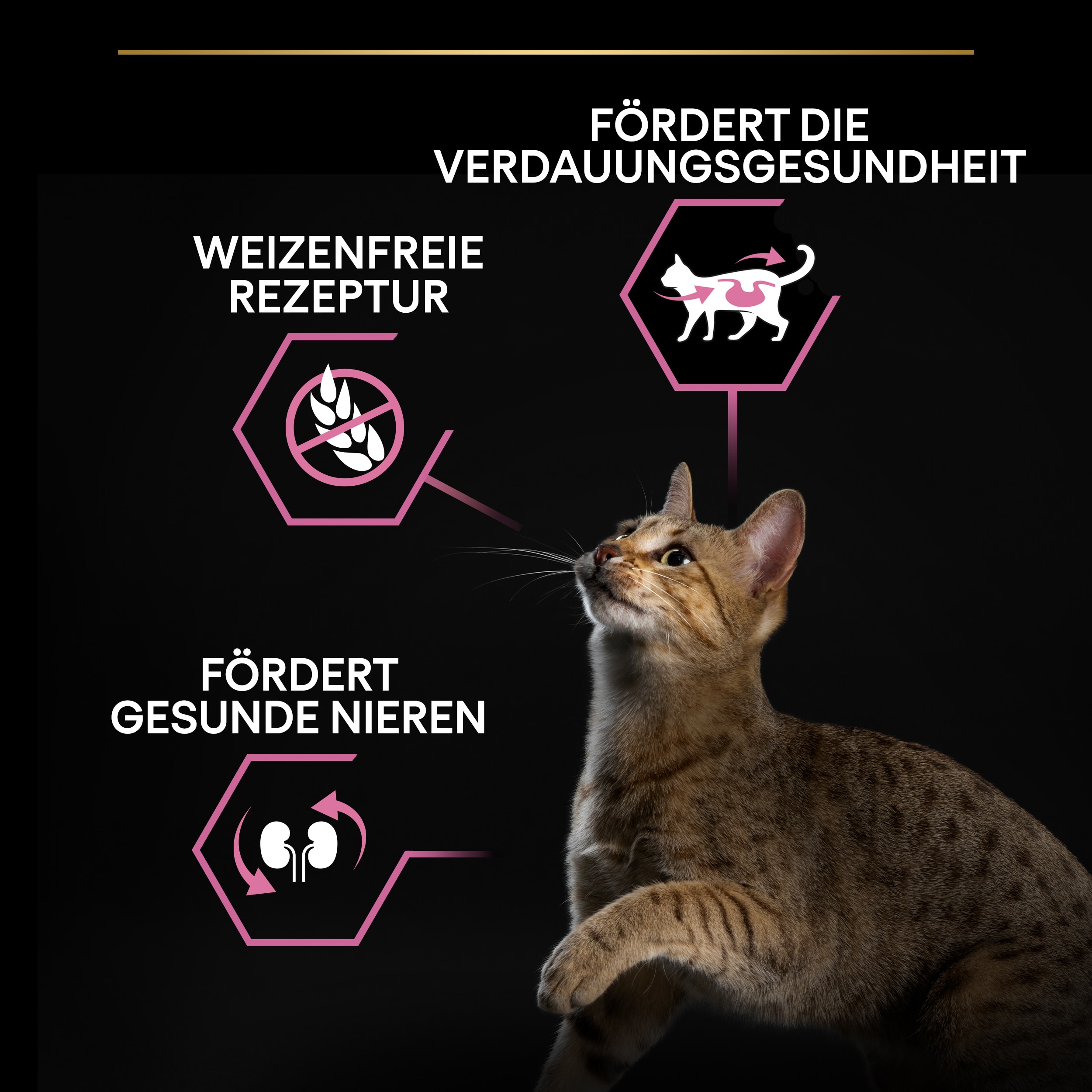 Adult Delicate Digestion, Katzentrockenfutter für sensible Verdauung, reich an Truthahn 1,5kg Adult Delicate Digestion Trockenfutter für Katzen
