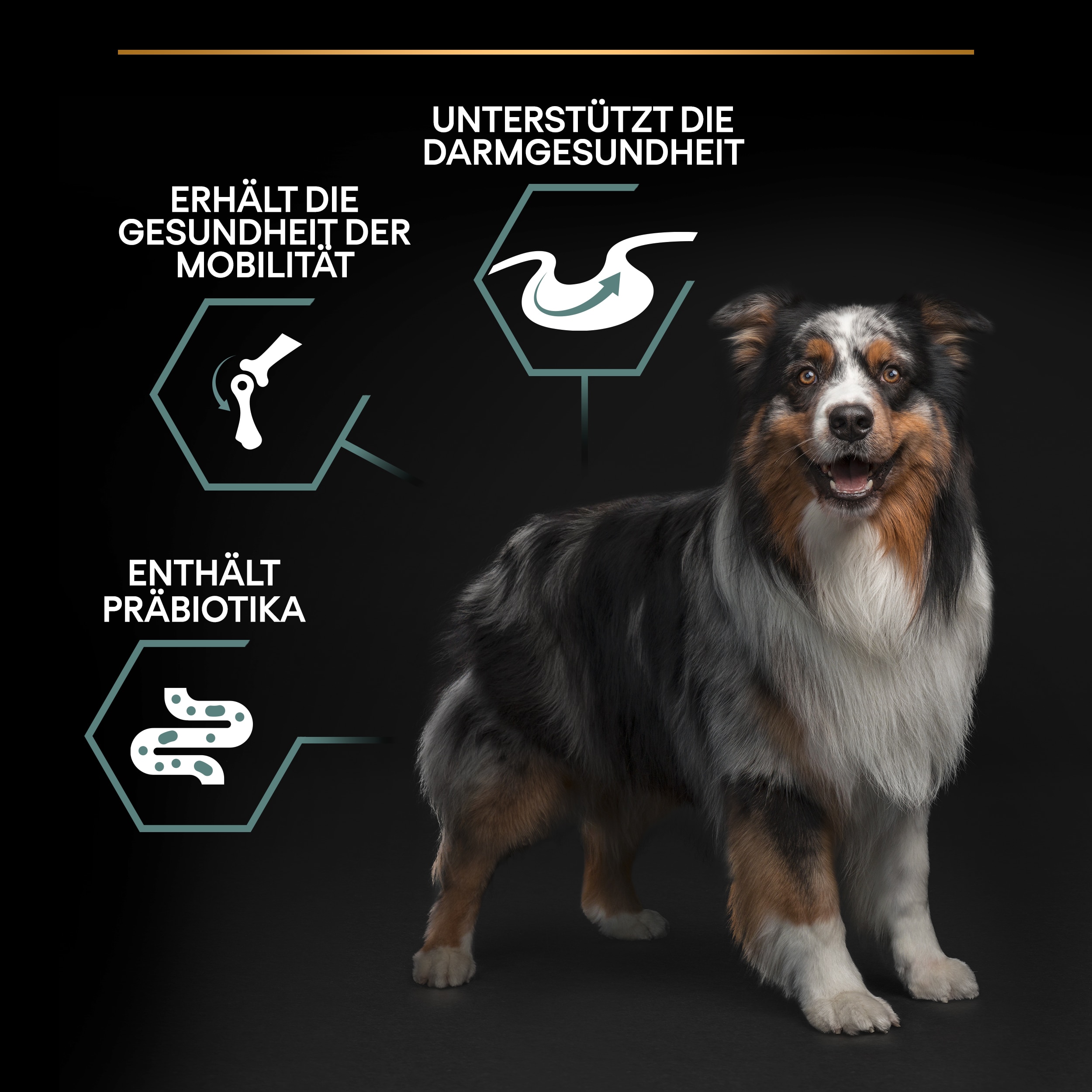 Medium Adult Sensitive Digestion, Hundetrockenfutter für mittelgroße Hunde mit sensibler Verdauung, reich an Lamm Vorteile unseres Hundetrockenfutters Sensitive Digestion