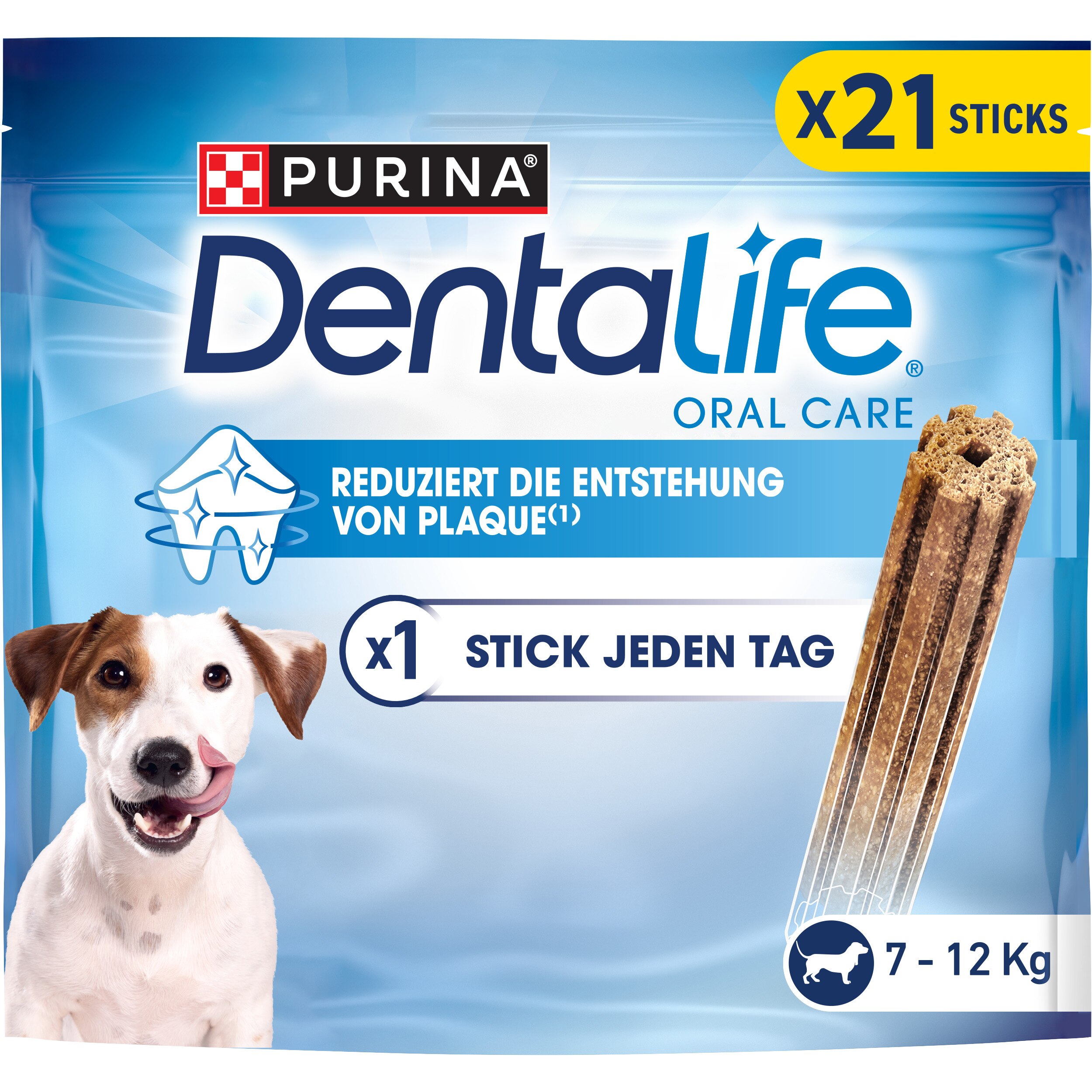Hund, Säugetier, Haustier, Werbung, Plakat