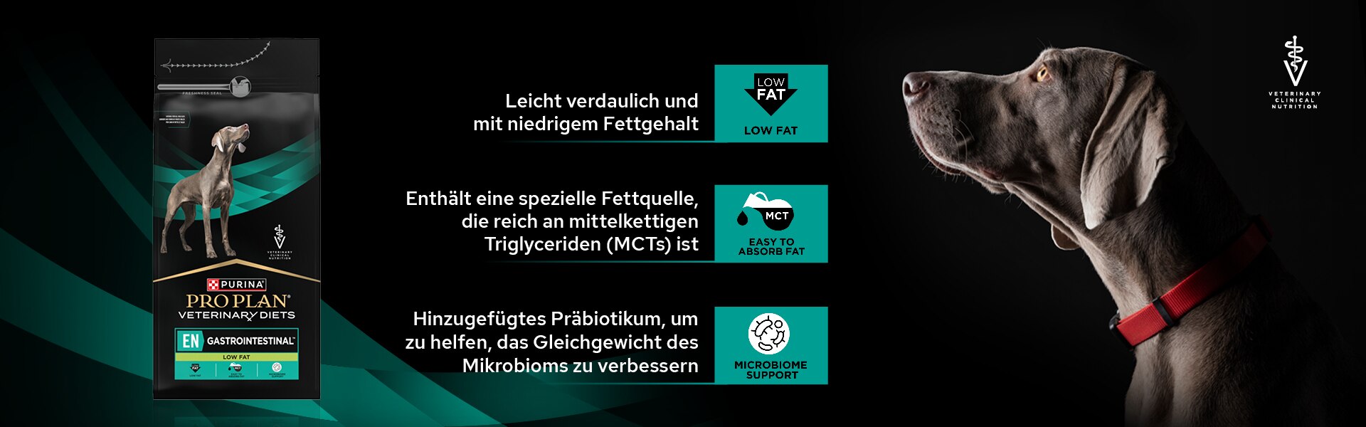 072_PPVD_Banner_ENlowFat_DT1920x600_019edab5bc9c7a29af6638bffe2ad8ea
