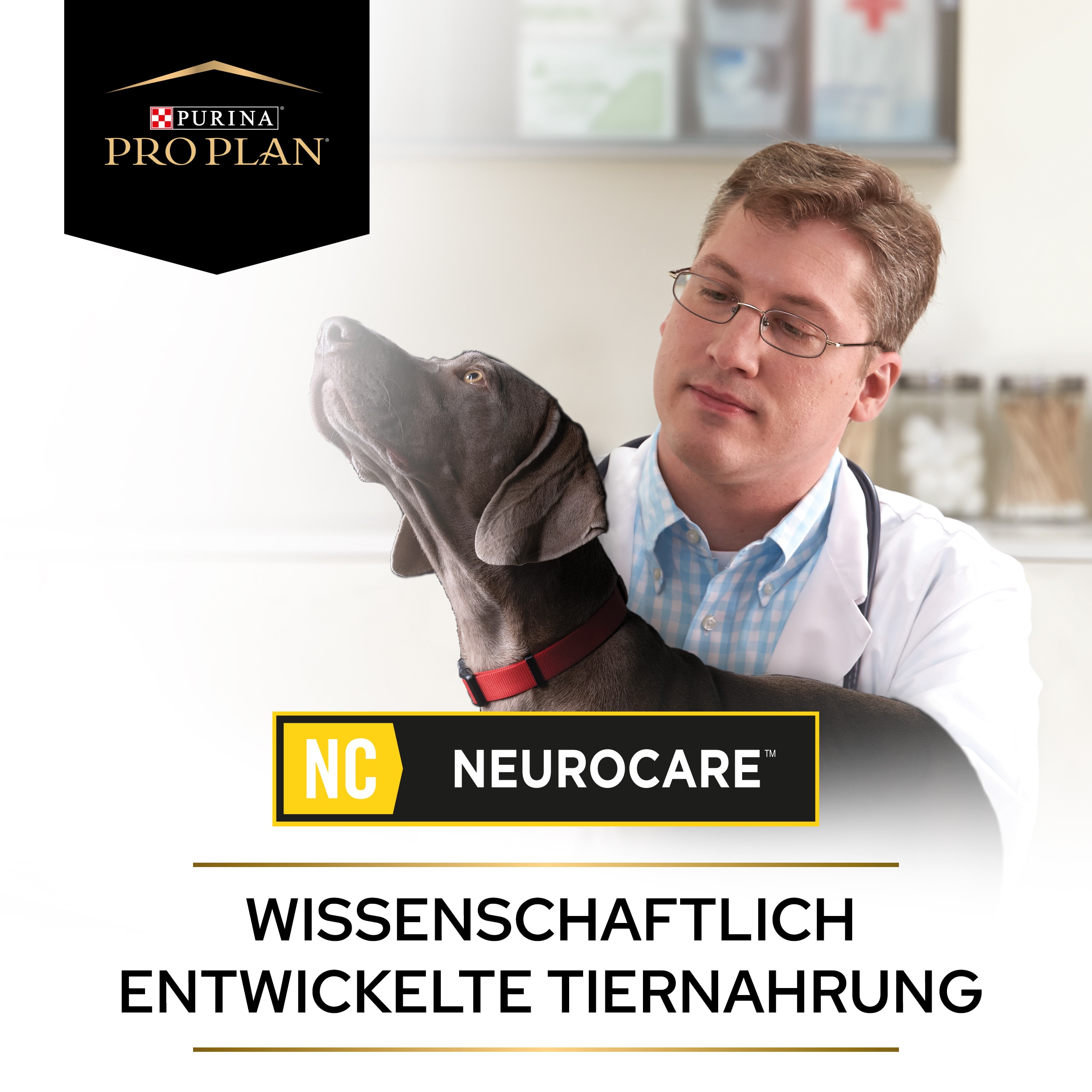 PUPPVDDDPPVNC22Endo1LDE_1665110999964 Tierarzt untersucht einen ungarischen Vorstehhund