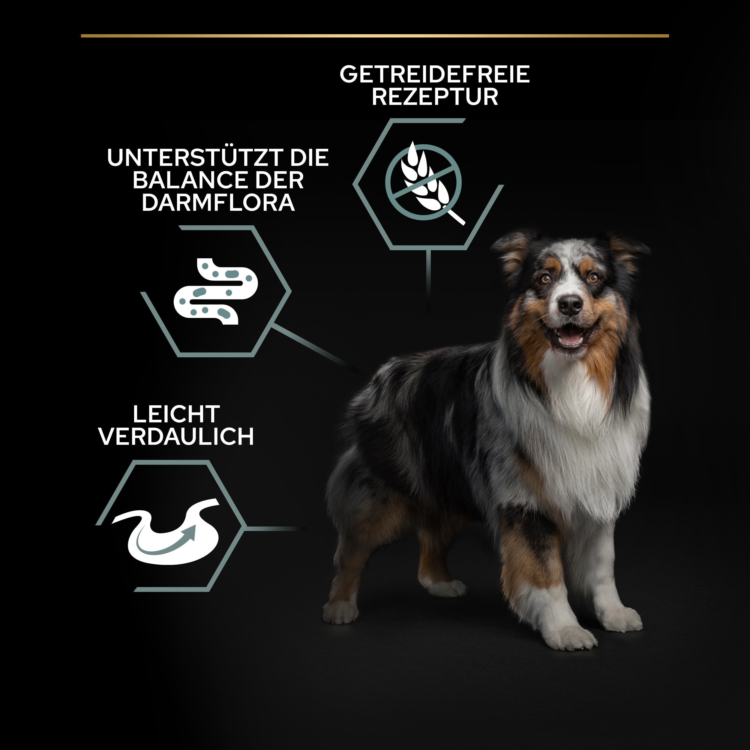 PU_Benefits_M2_Adult Medium Large Turkey_DE_20221201_01 Vorteile von Adult Sensitive Digestion