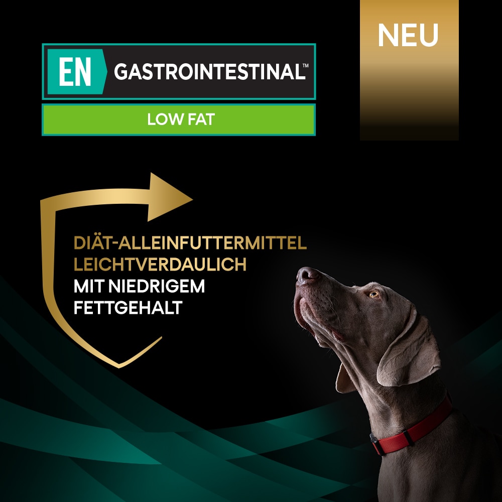EN Gastrointestinal Low Fat, Trockenfutter für Hunde mit niedrigem Fettgehalt  Hund, Haustier, Werbung, Zeiger, Plakat
