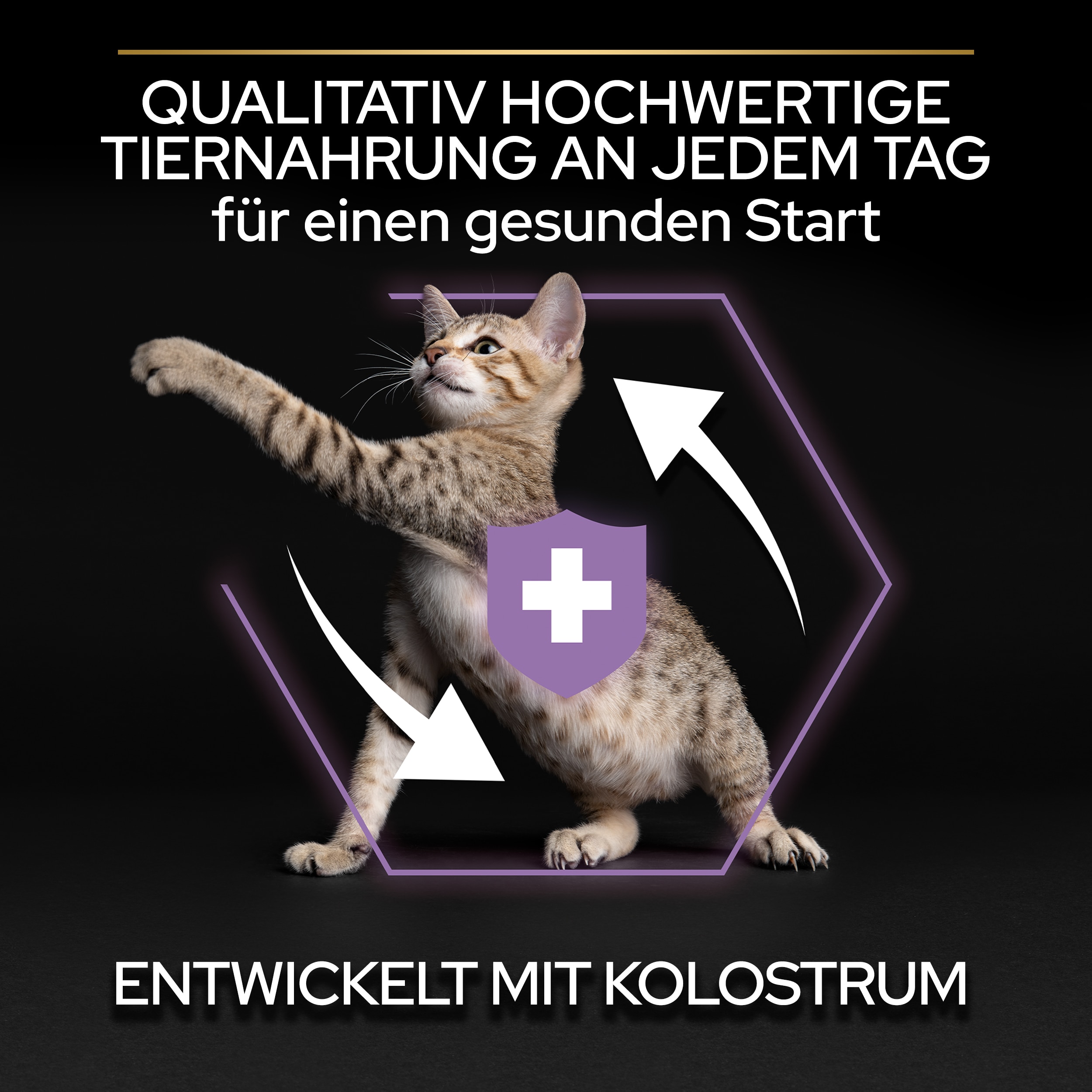 Kitten Original, Katzentrockenfutter für Kitten, reich an Huhn 1,5 kg Start Trockenfutter  - hochwertige Zutaten