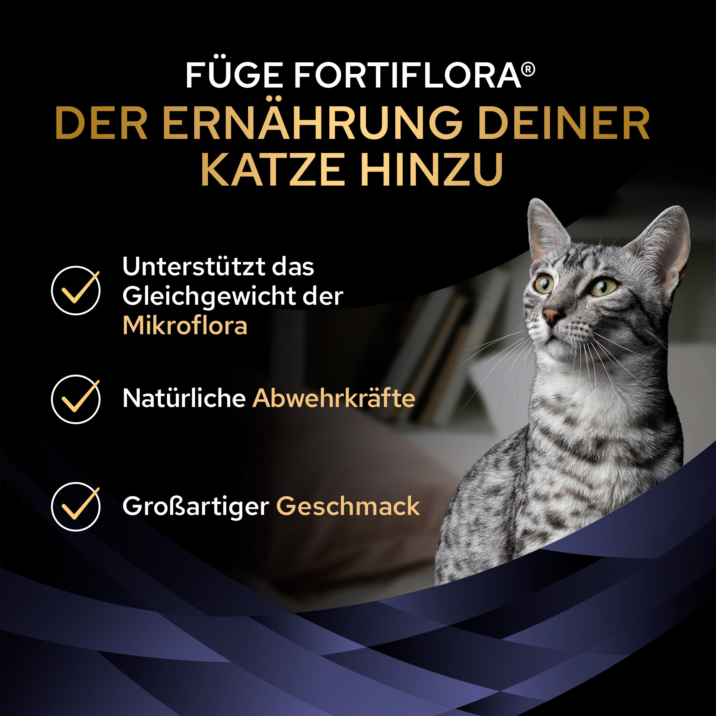 FortiFlora Ergänzungsfuttermittel für Katzen zur Unterstützung der Darmgesundheit, 30 x 1g