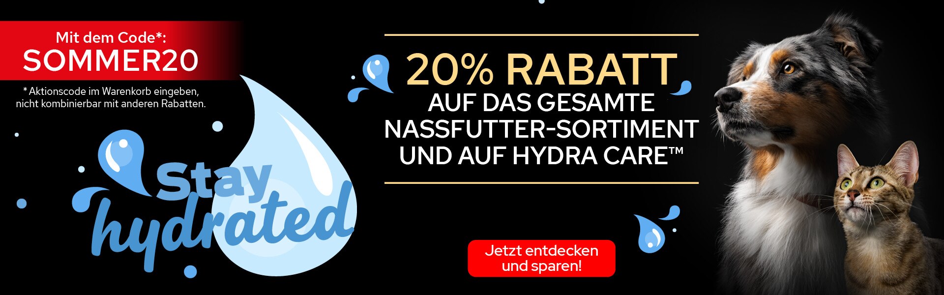 Werbung, Plakat, Hund, Haustier, Katze