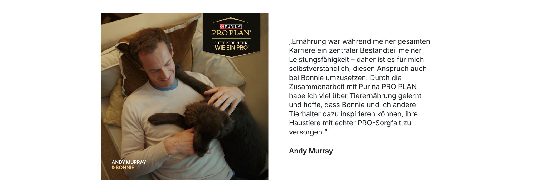 Mann, Tier, Hund, Kissen, Sofa