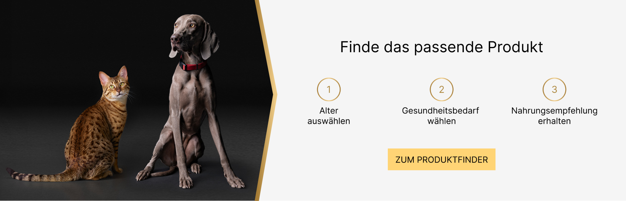 startseite-produktfinder