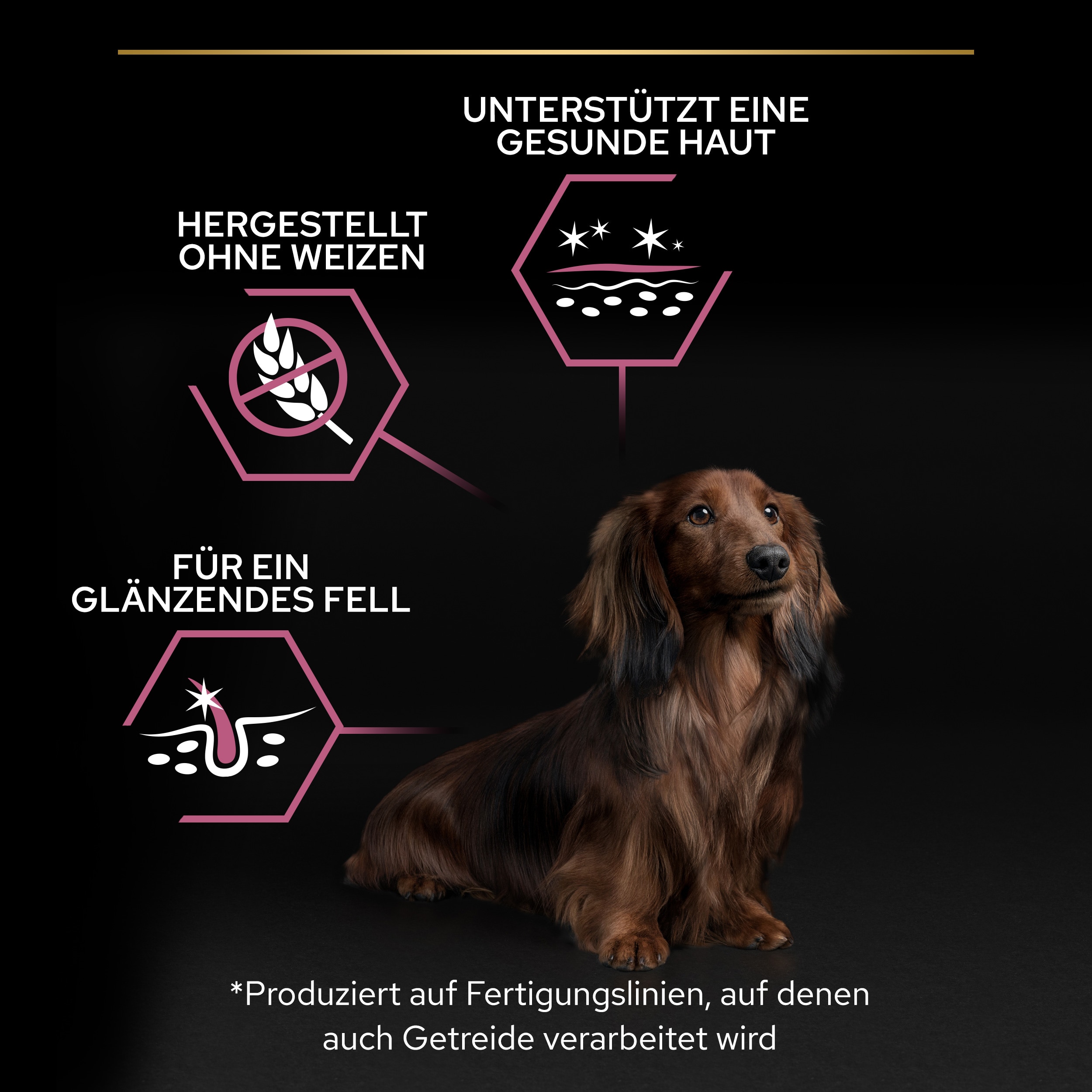 Small & Mini Adult Sensitive Skin, Trockenfutter für sehr kleine & kleine Hunde mit sensibler Haut, reich an Lachs 3kg Vorteile von small & mini Adult Skin Trockenfutter