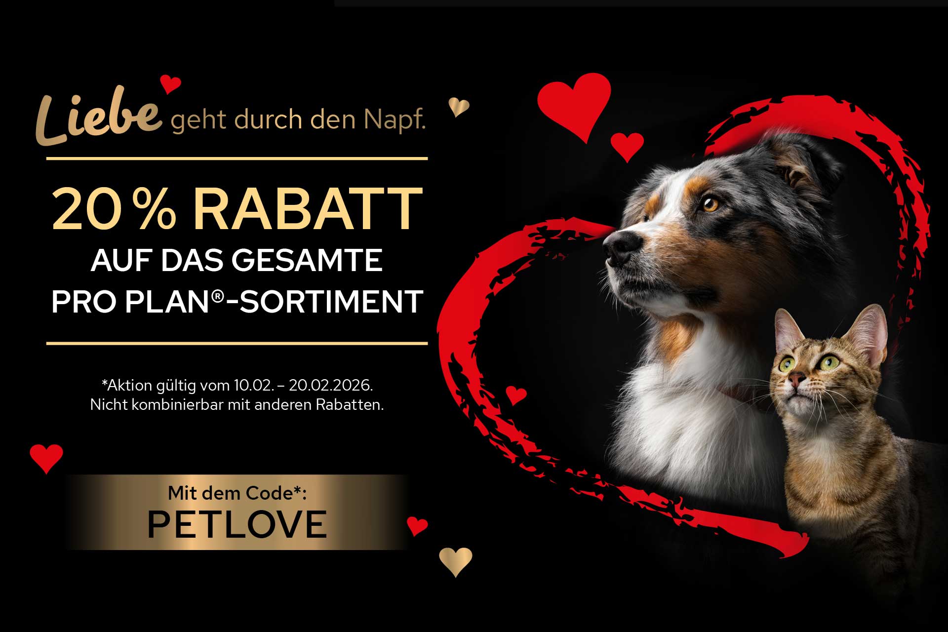 Werbung, Plakat, Hund, Katze, Grusskarte
