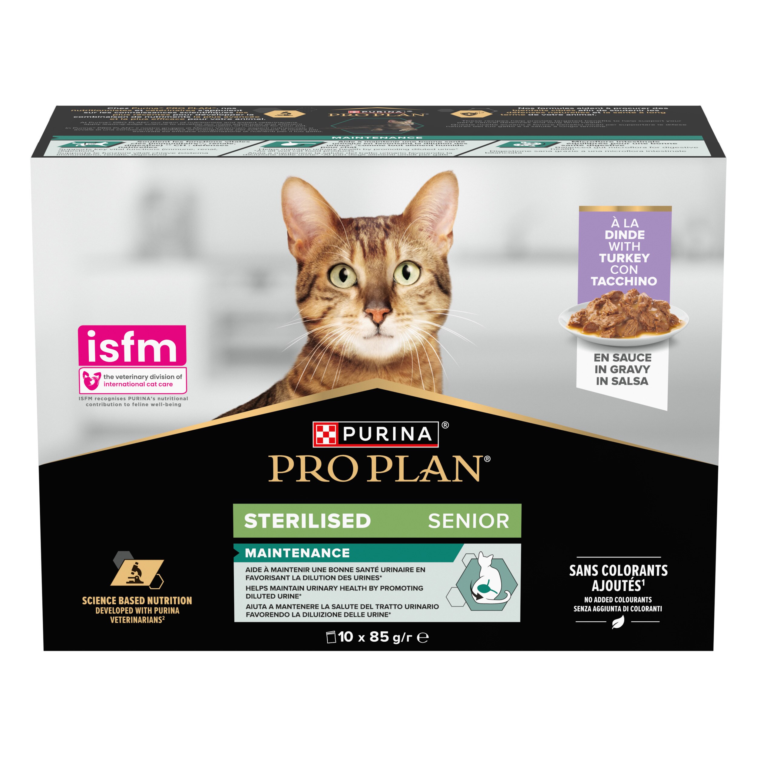 Werbung, Plakat, Teller, Katze, Haustier