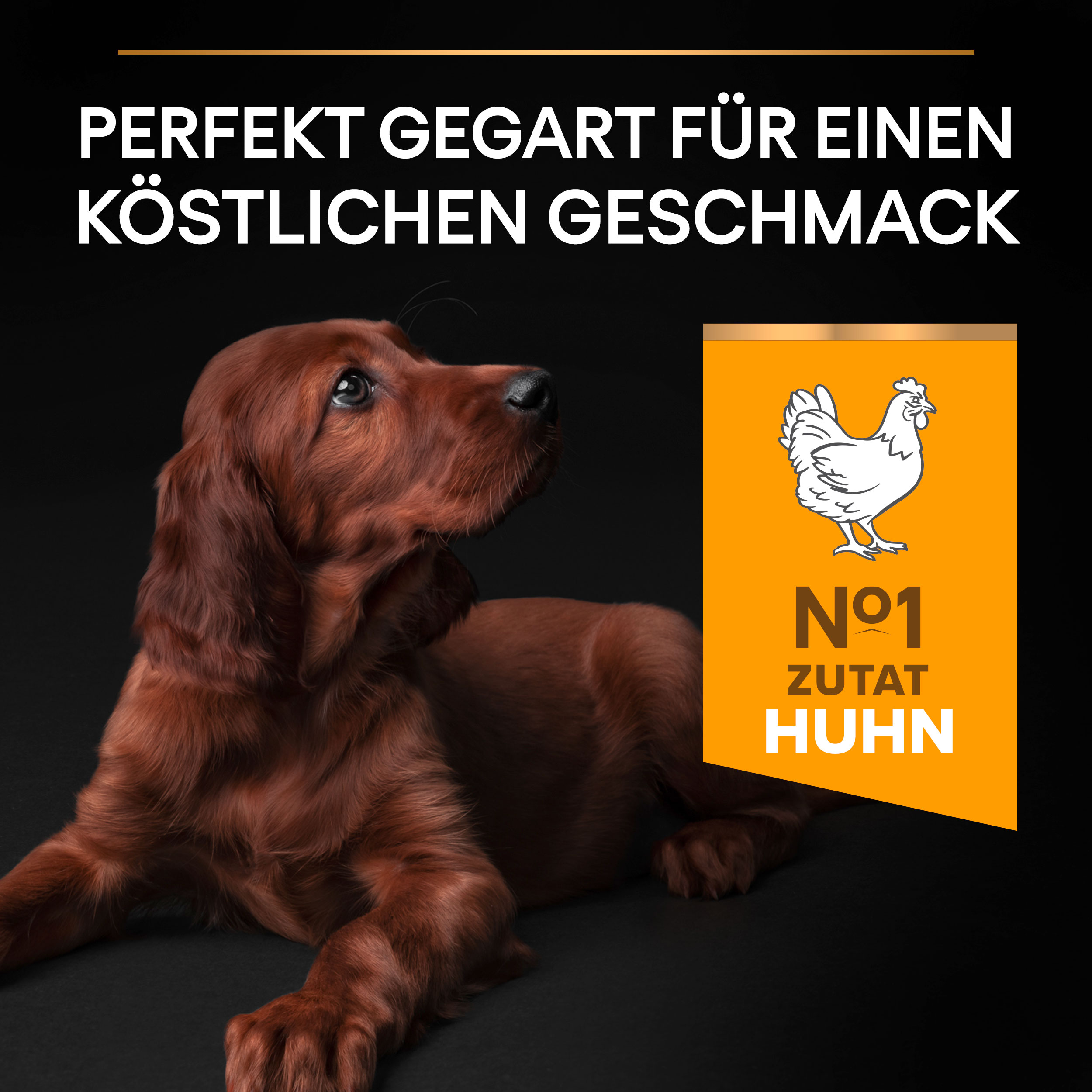 PU_Flavour Tile_M2_Healthy Start_Puppy Large Athletic Chicken_DE_221205_1