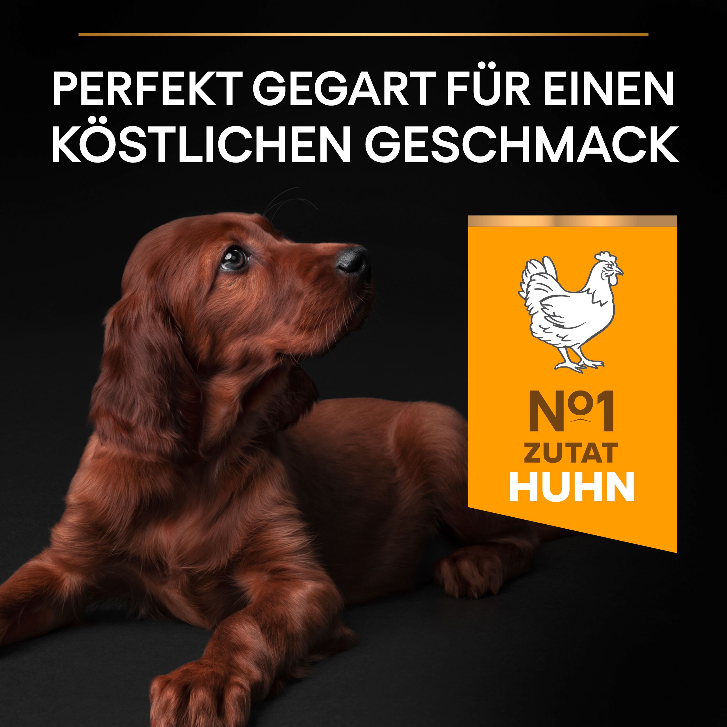 PU_Flavour Tile_M2_Healthy Start_Puppy Large Athletic Chicken_DE_221205_1 Puppy Healthy Start für Welpen großer, athletischer Rassen mit Huhn.
