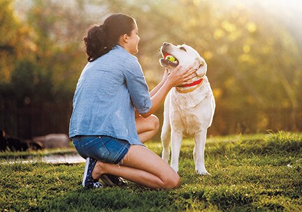 DE_PURINA_PROPLAN_0326_Markenseite-Shop_Teaser_Futterarten_Supplements_432x304 (1)