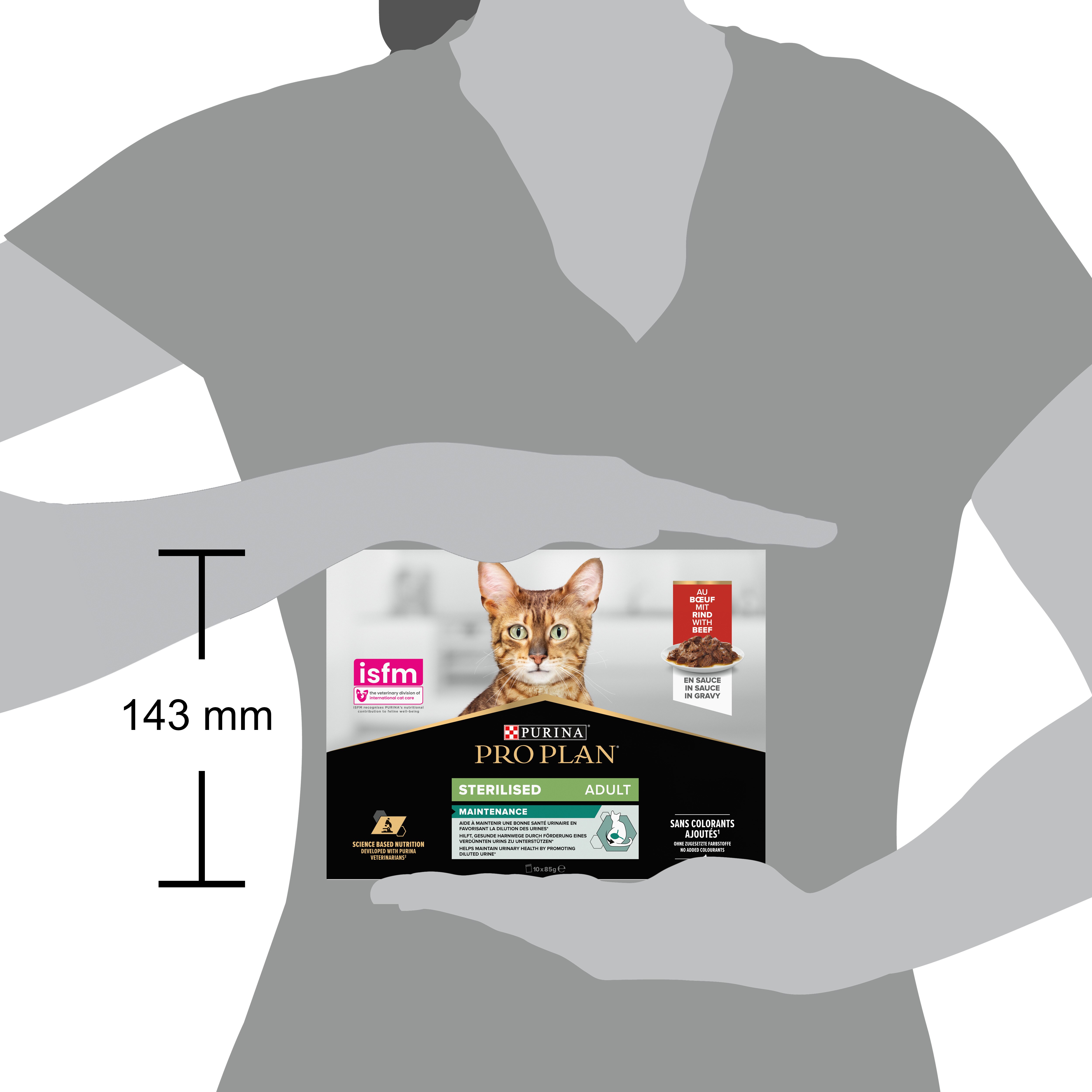 Abessinisch, Tier, Katze, Säugetier, Haustier