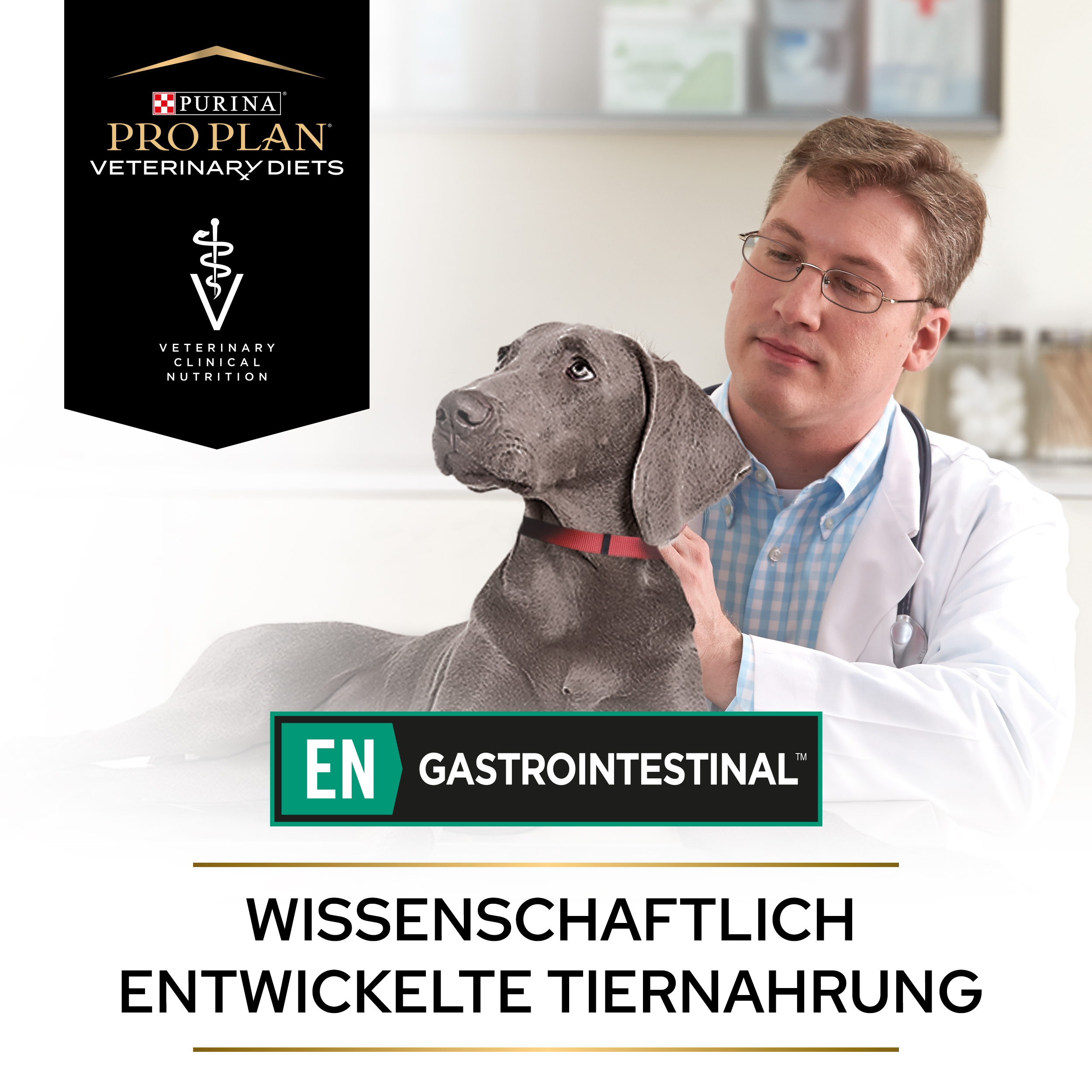  EN Gastrointestinal, Diätfuttermittel nass für Hunde zur Unterstützung des Magen-Darm-Traktes, 12 x 400 g